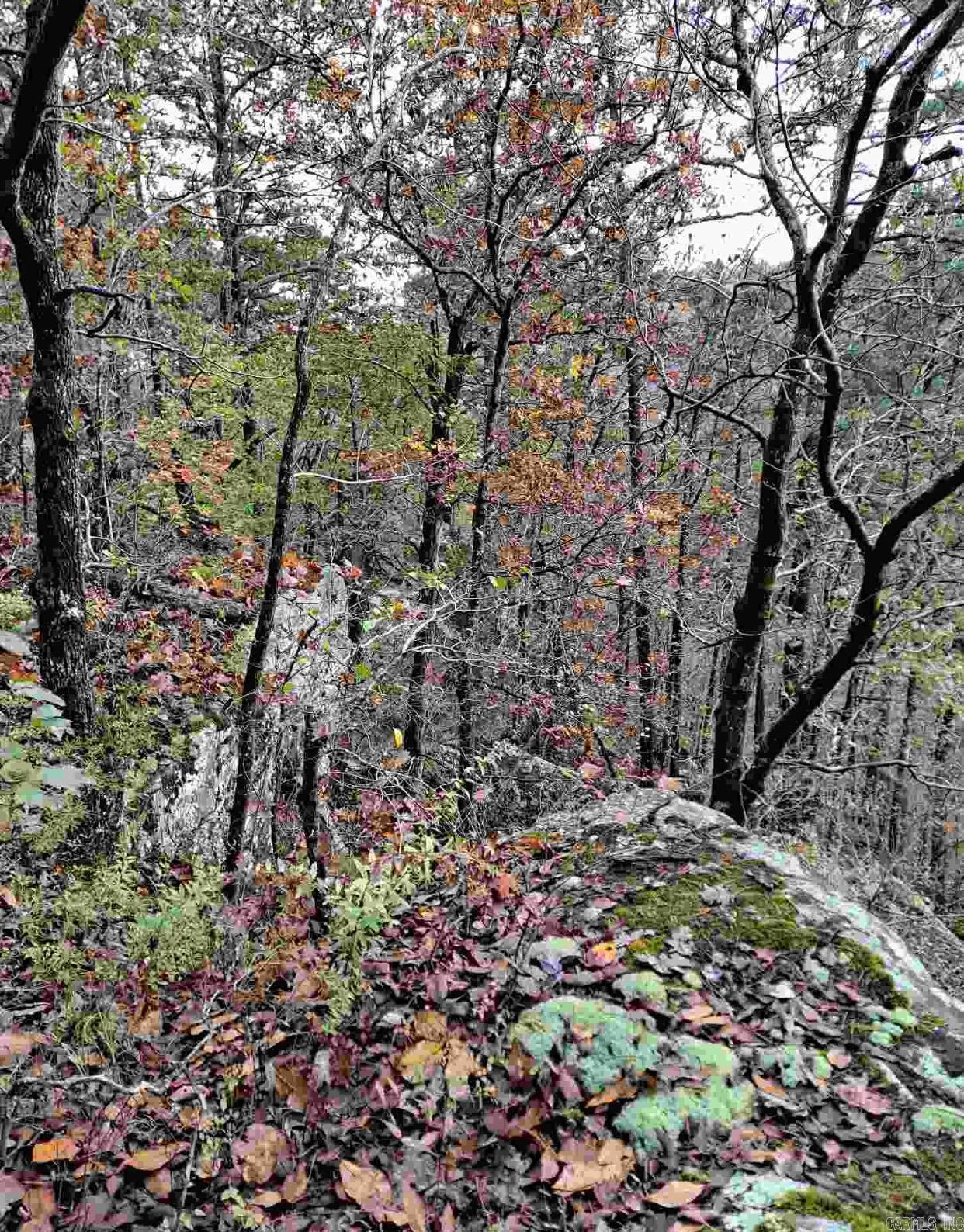 000  Half Moon Mountain Road  Clinton, AR