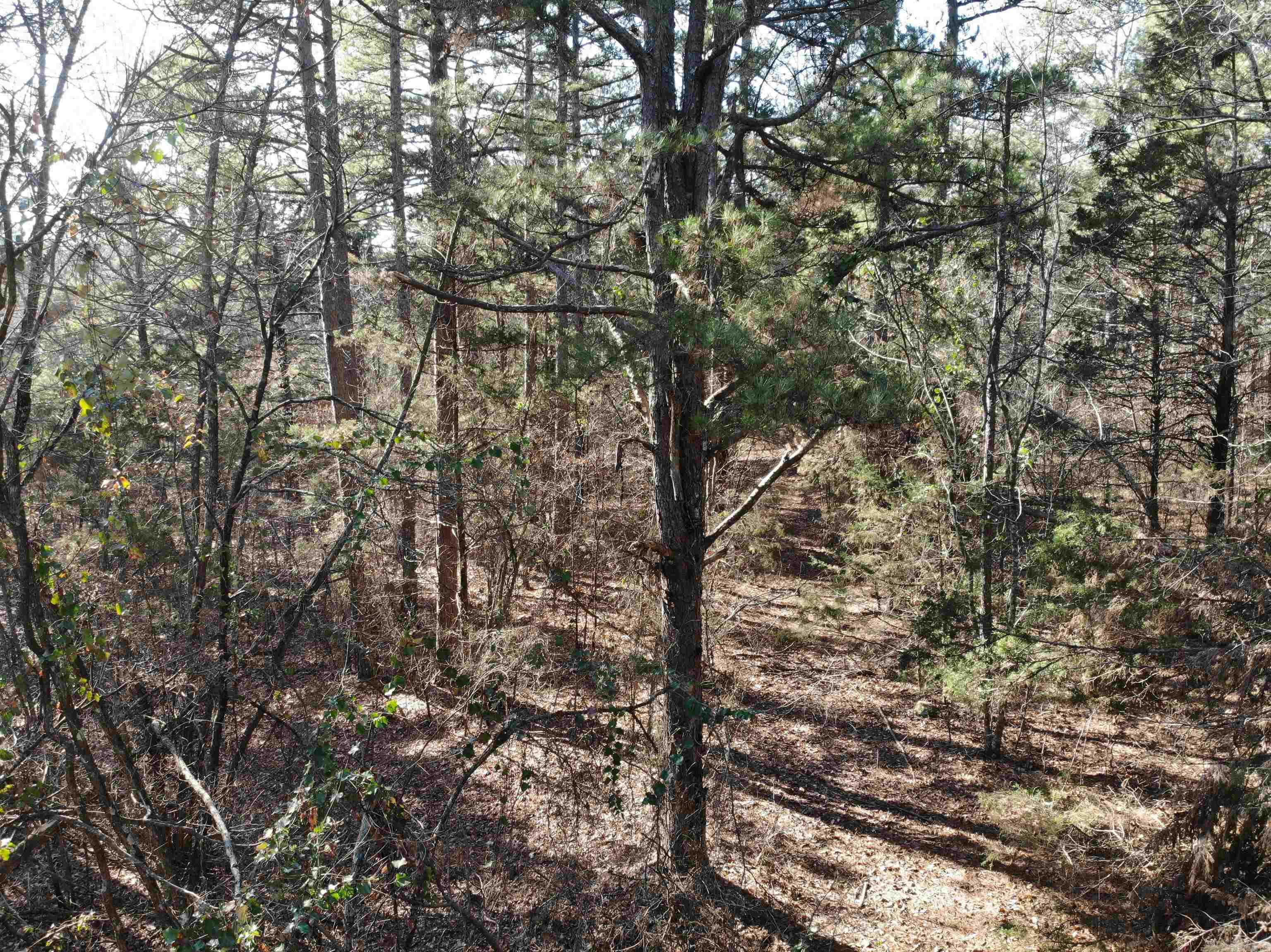 000  Half Moon Mountain Road  Clinton, AR