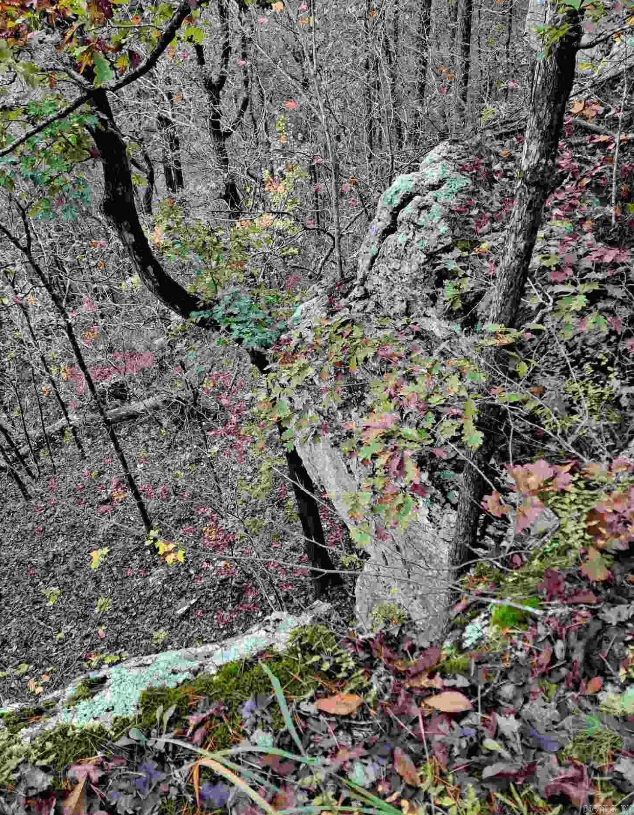 000  Half Moon Mountain Road  Clinton, AR