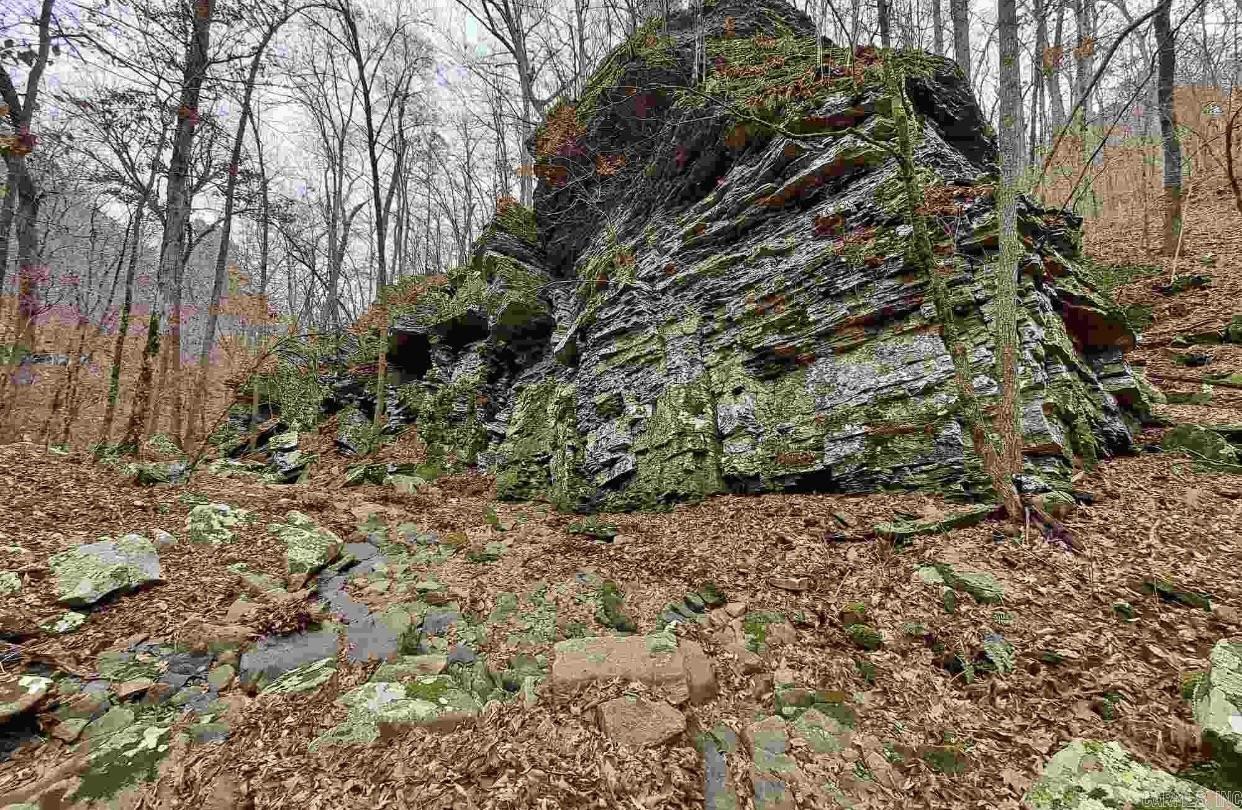 000  Half Moon Mountain Road  Clinton, AR