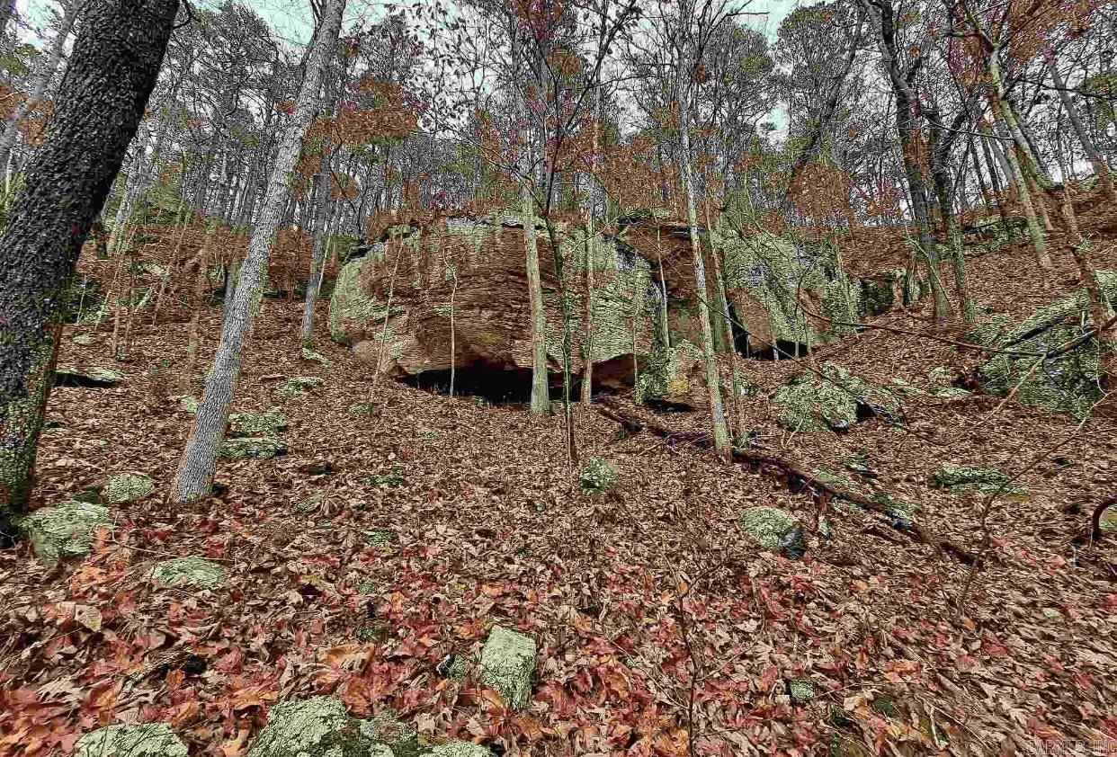 000  Half Moon Mountain Road  Clinton, AR