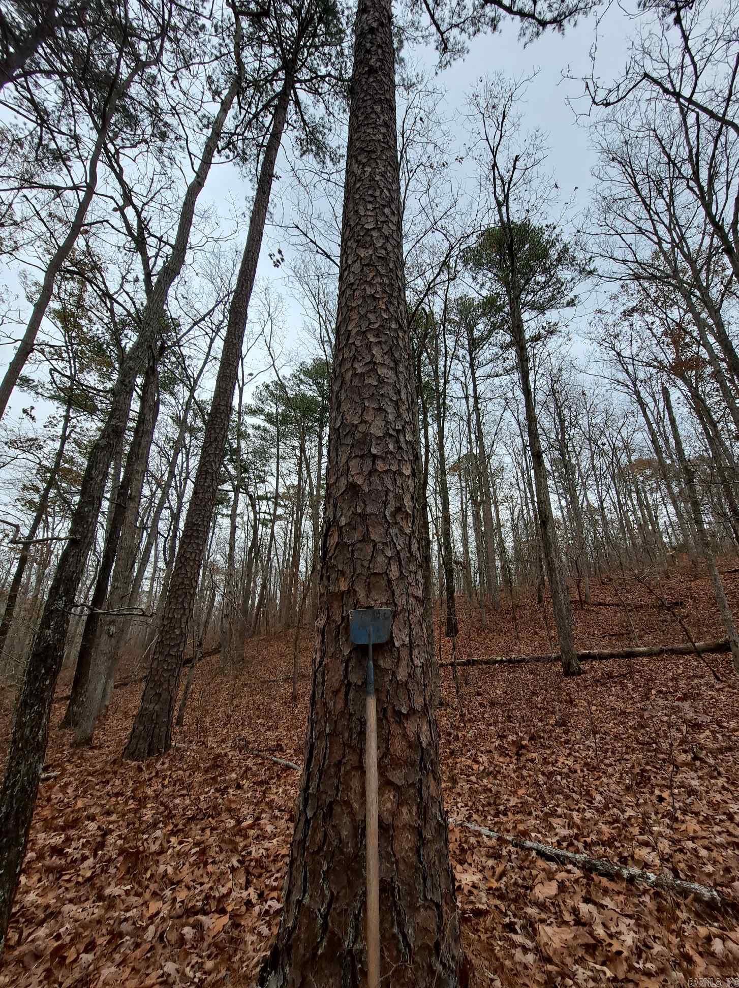 000  Half Moon Mountain Road  Clinton, AR