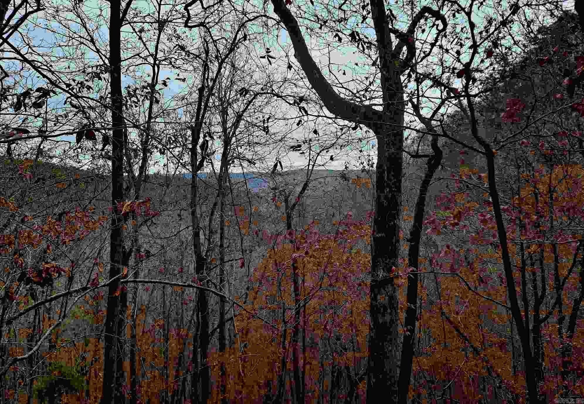 000  Half Moon Mountain Road  Clinton, AR