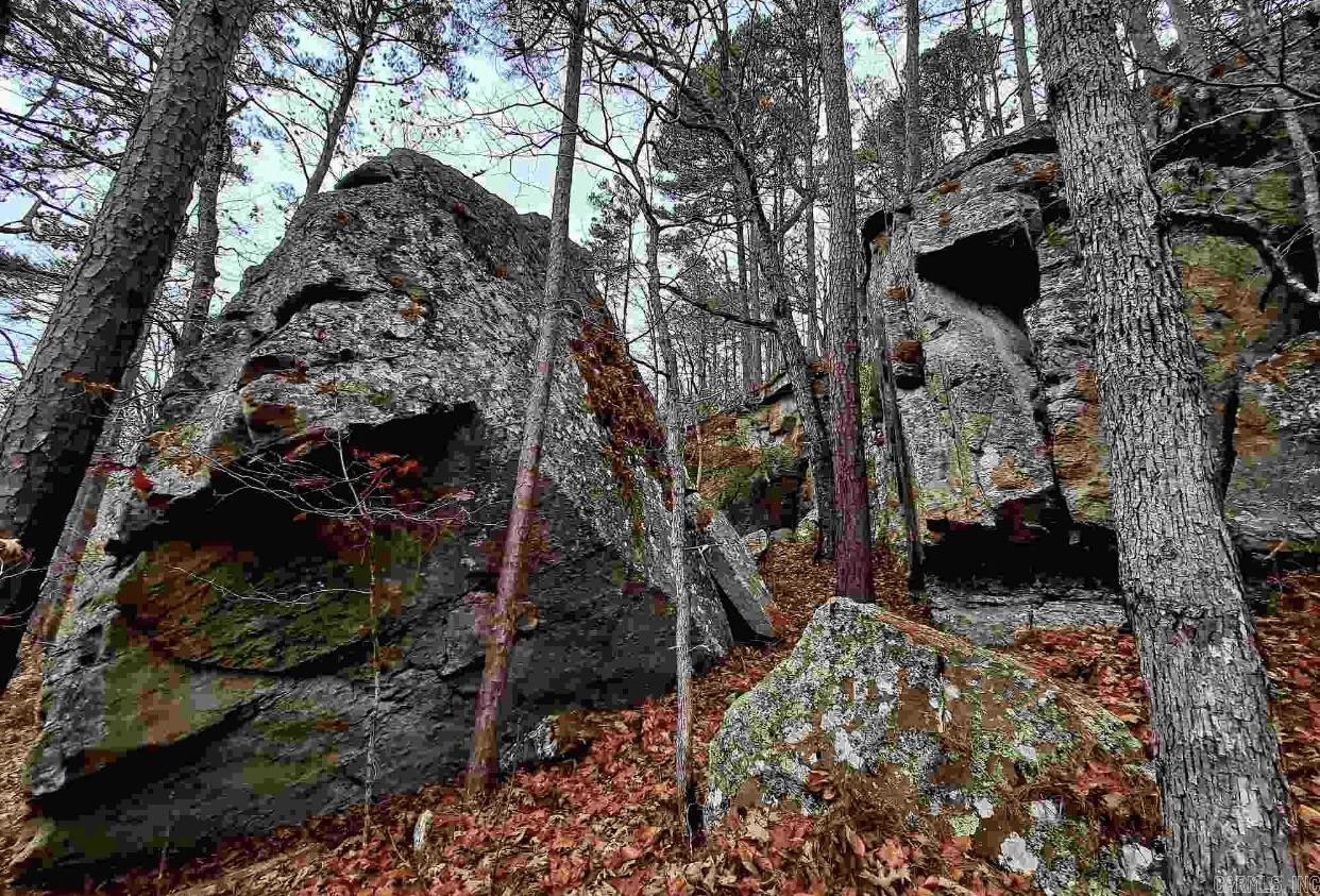 000  Half Moon Mountain Road  Clinton, AR