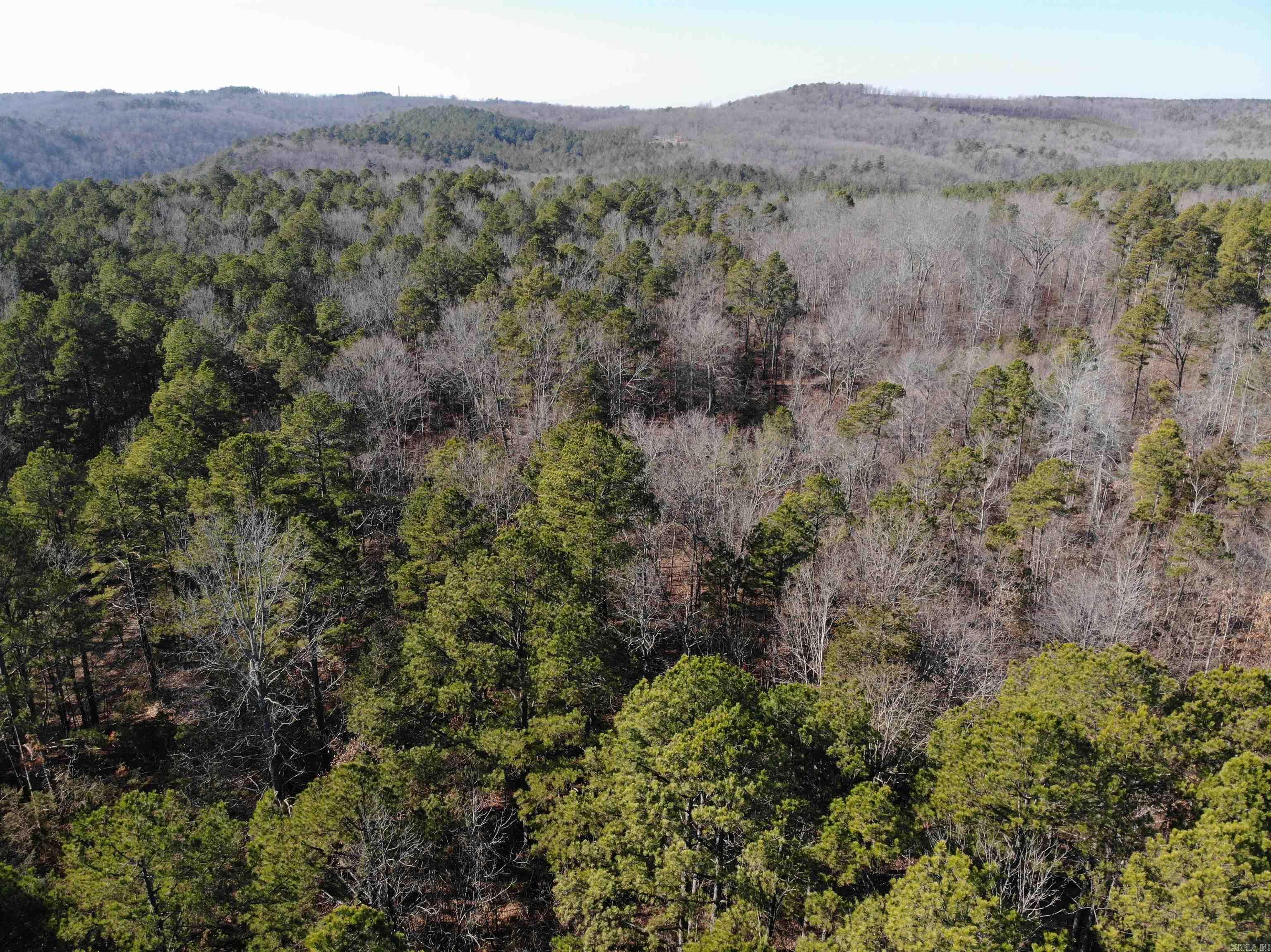 000  Half Moon Mountain Road  Clinton, AR