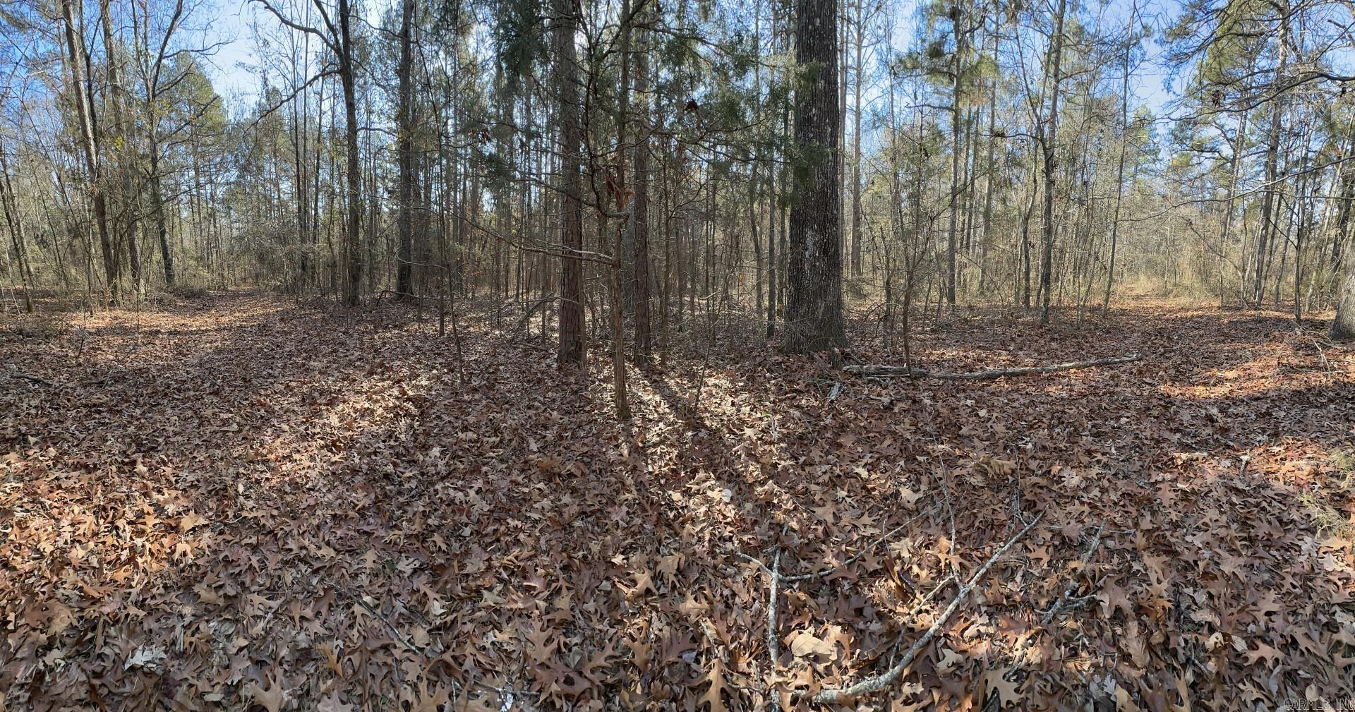 000  Half Moon Mountain Road  Clinton, AR