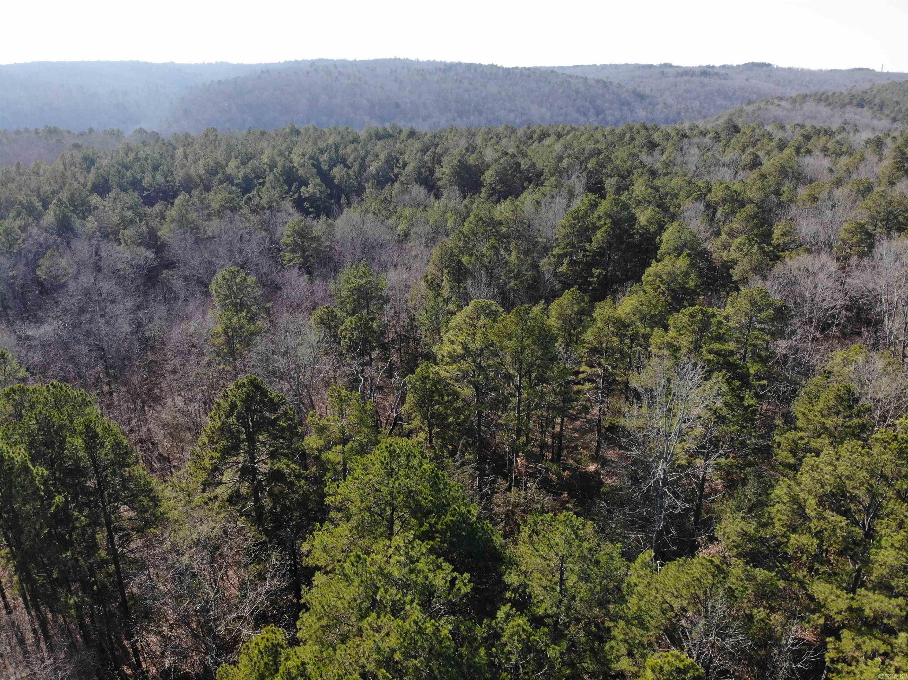 000  Half Moon Mountain Road  Clinton, AR