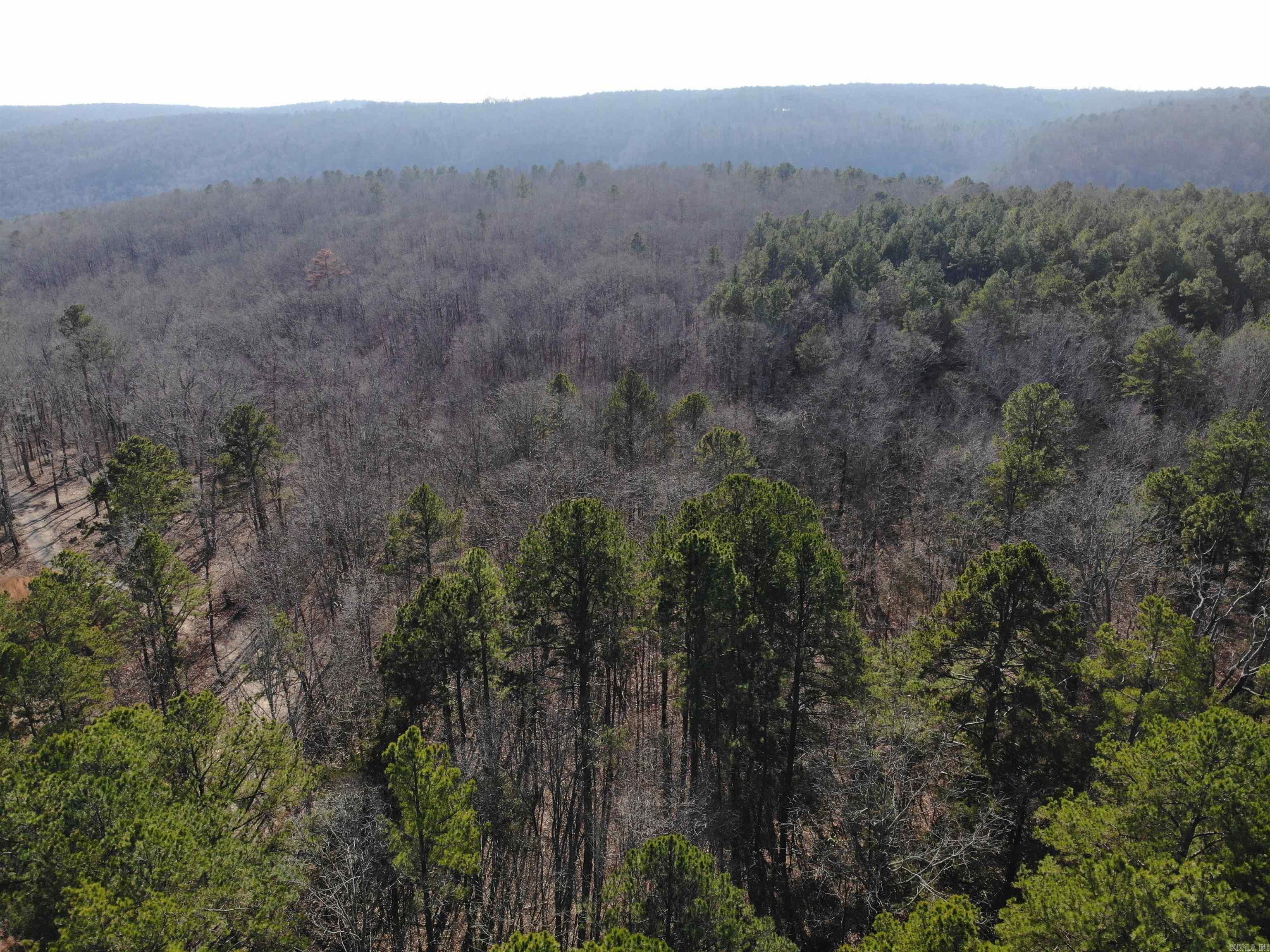 000  Half Moon Mountain Road  Clinton, AR