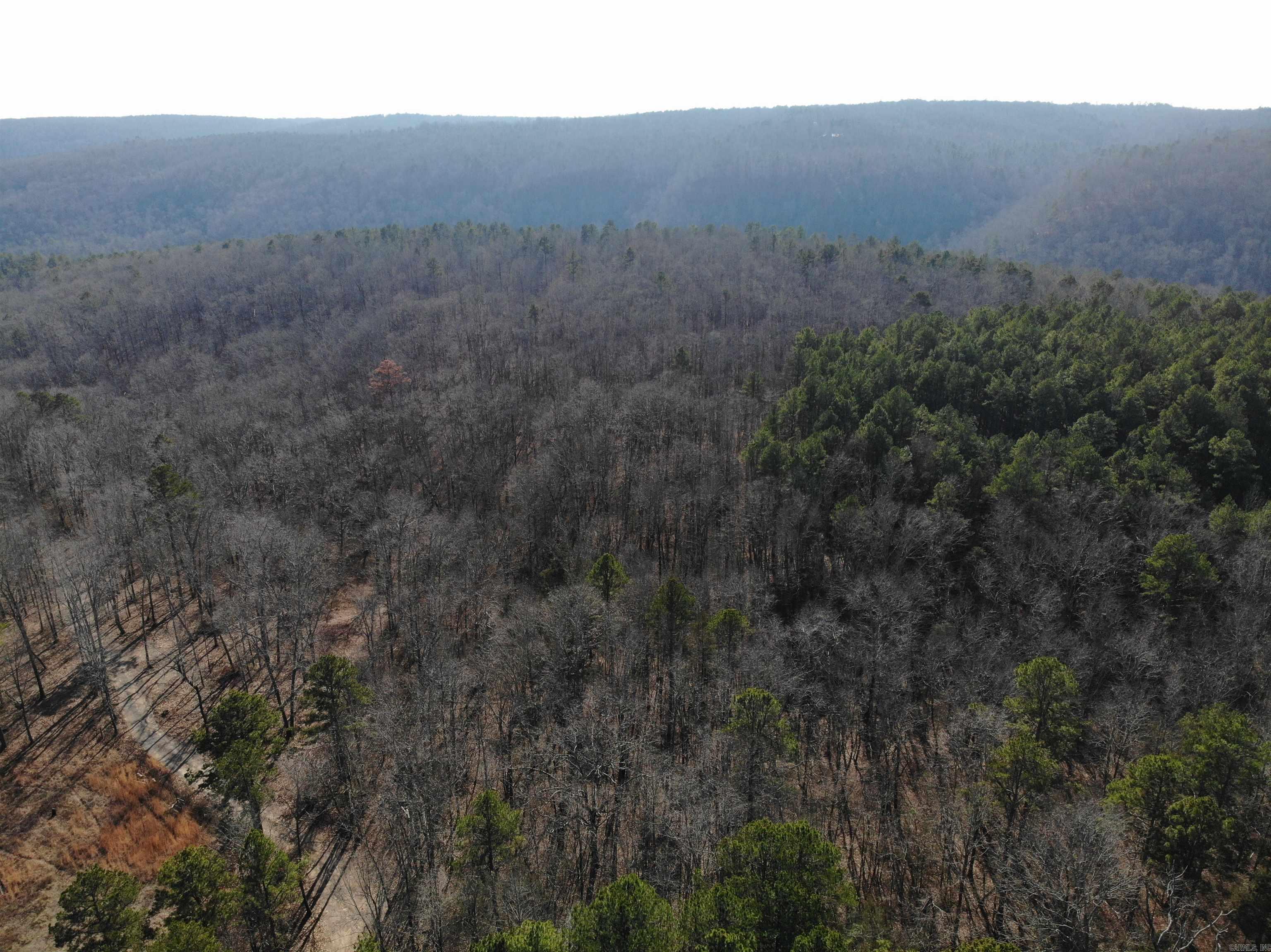 000  Half Moon Mountain Road  Clinton, AR