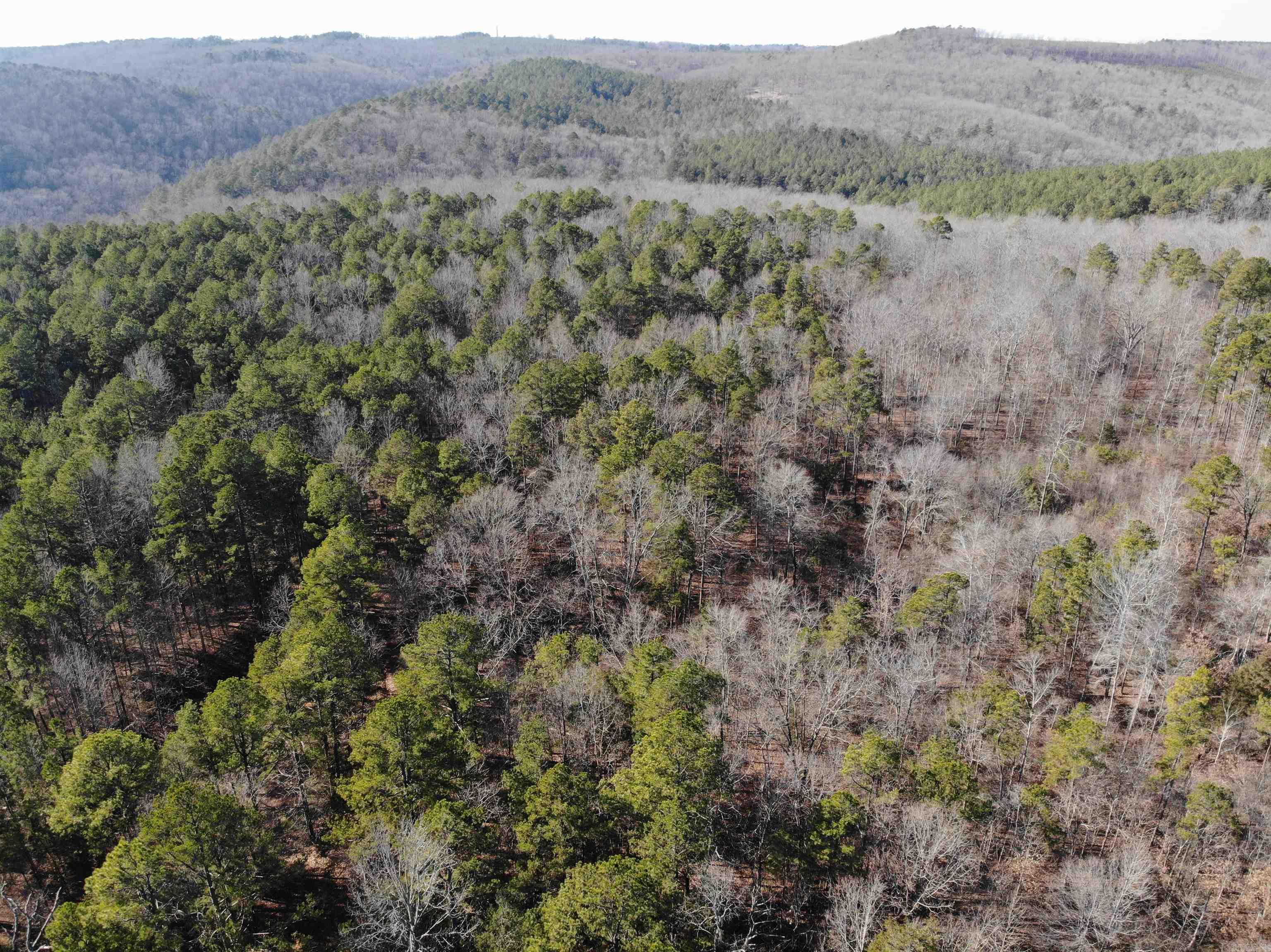 000  Half Moon Mountain Road  Clinton, AR
