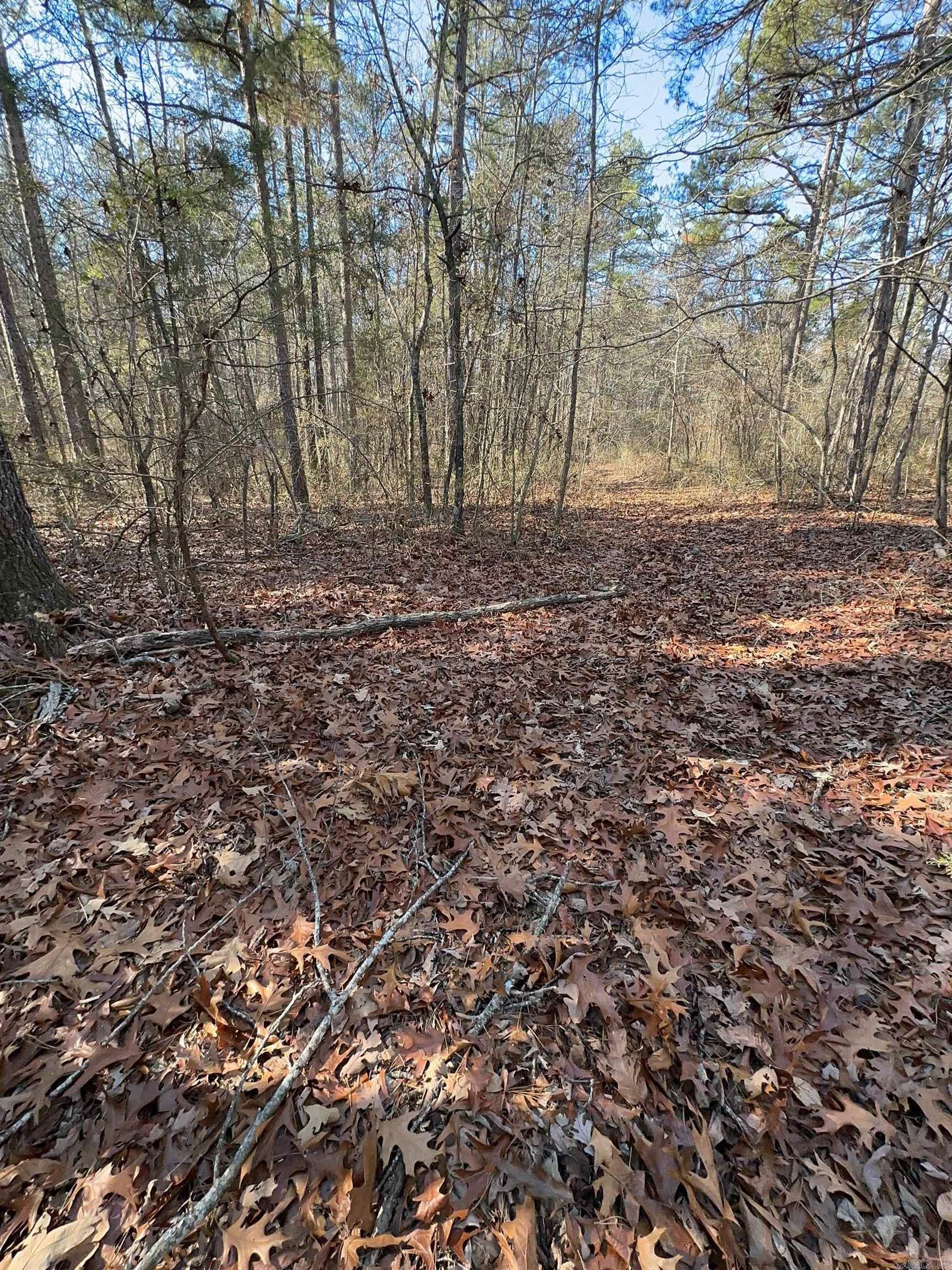 000  Half Moon Mountain Road  Clinton, AR