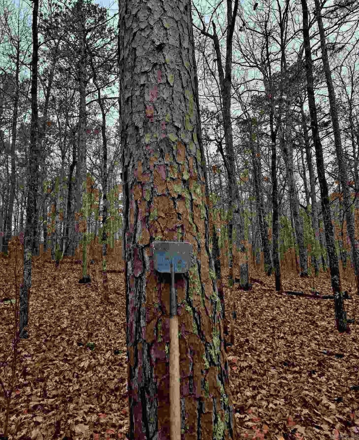 000  Half Moon Mountain Road  Clinton, AR