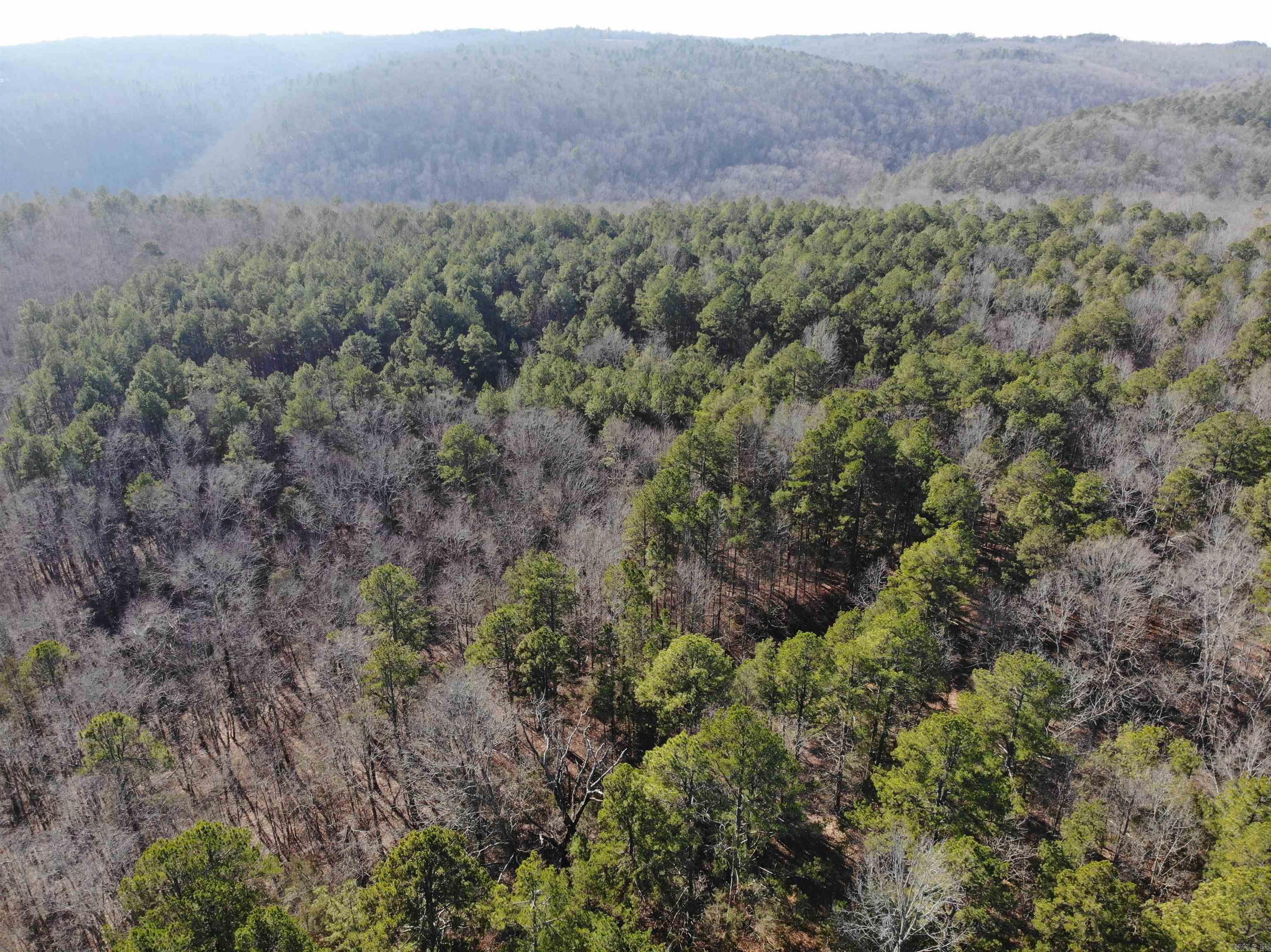 000  Half Moon Mountain Road  Clinton, AR