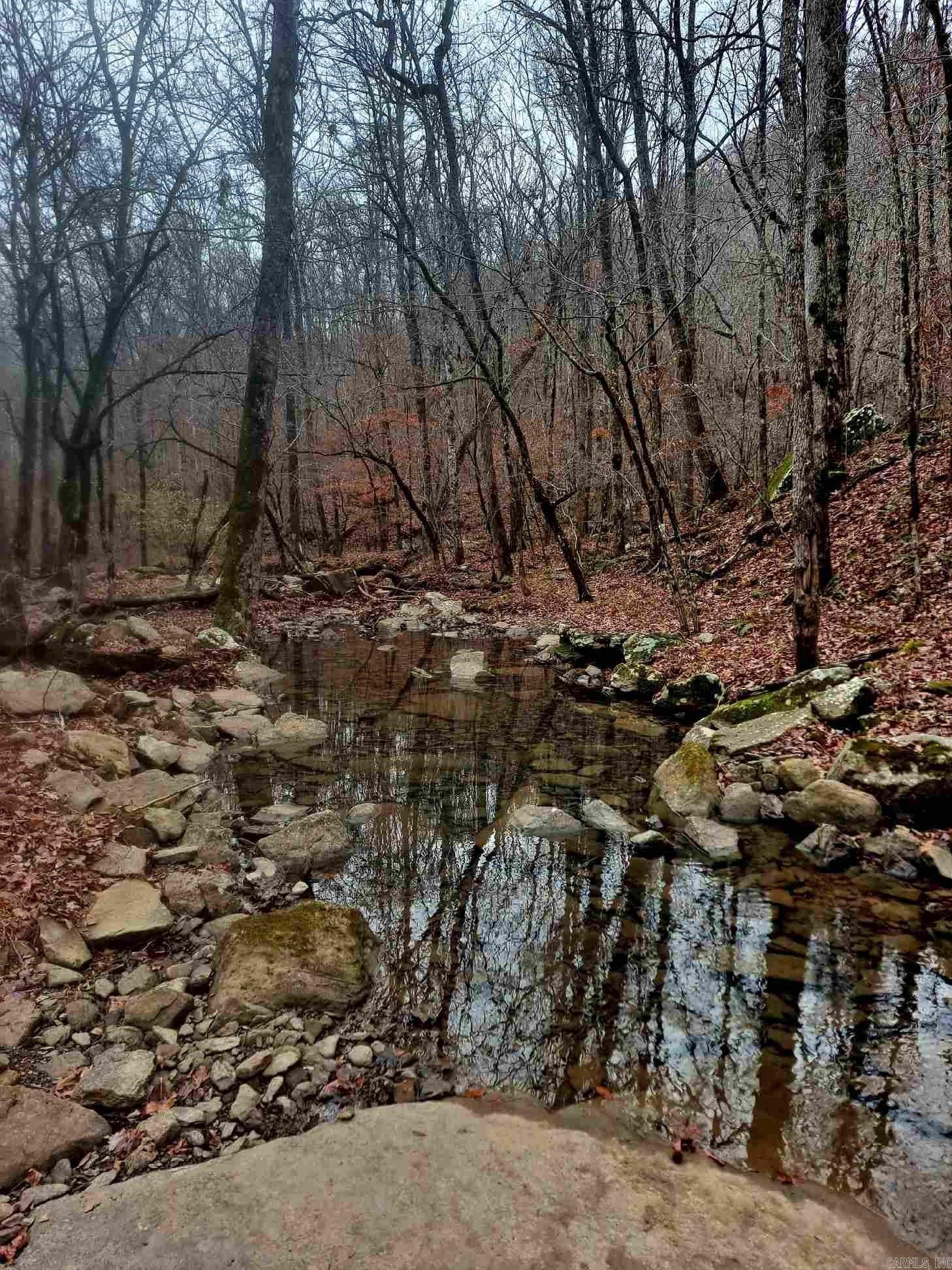 000  Half Moon Mountain Road  Clinton, AR