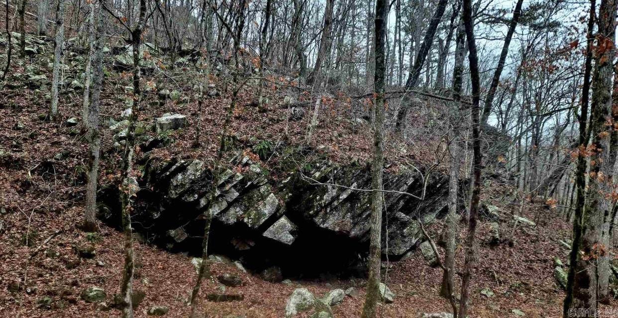 000  Half Moon Mountain Road  Clinton, AR