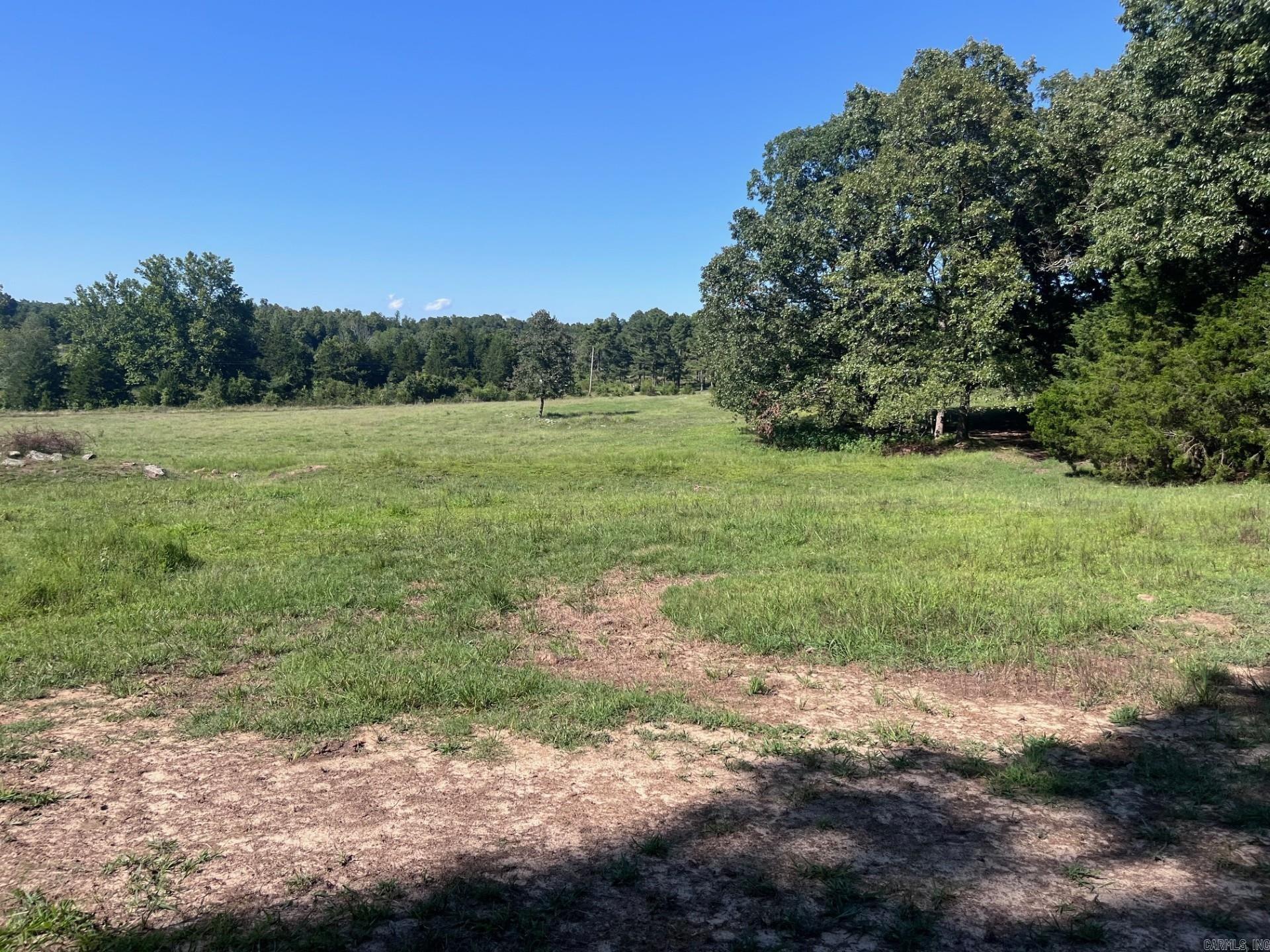 8447  Elizabeth  Viola, AR