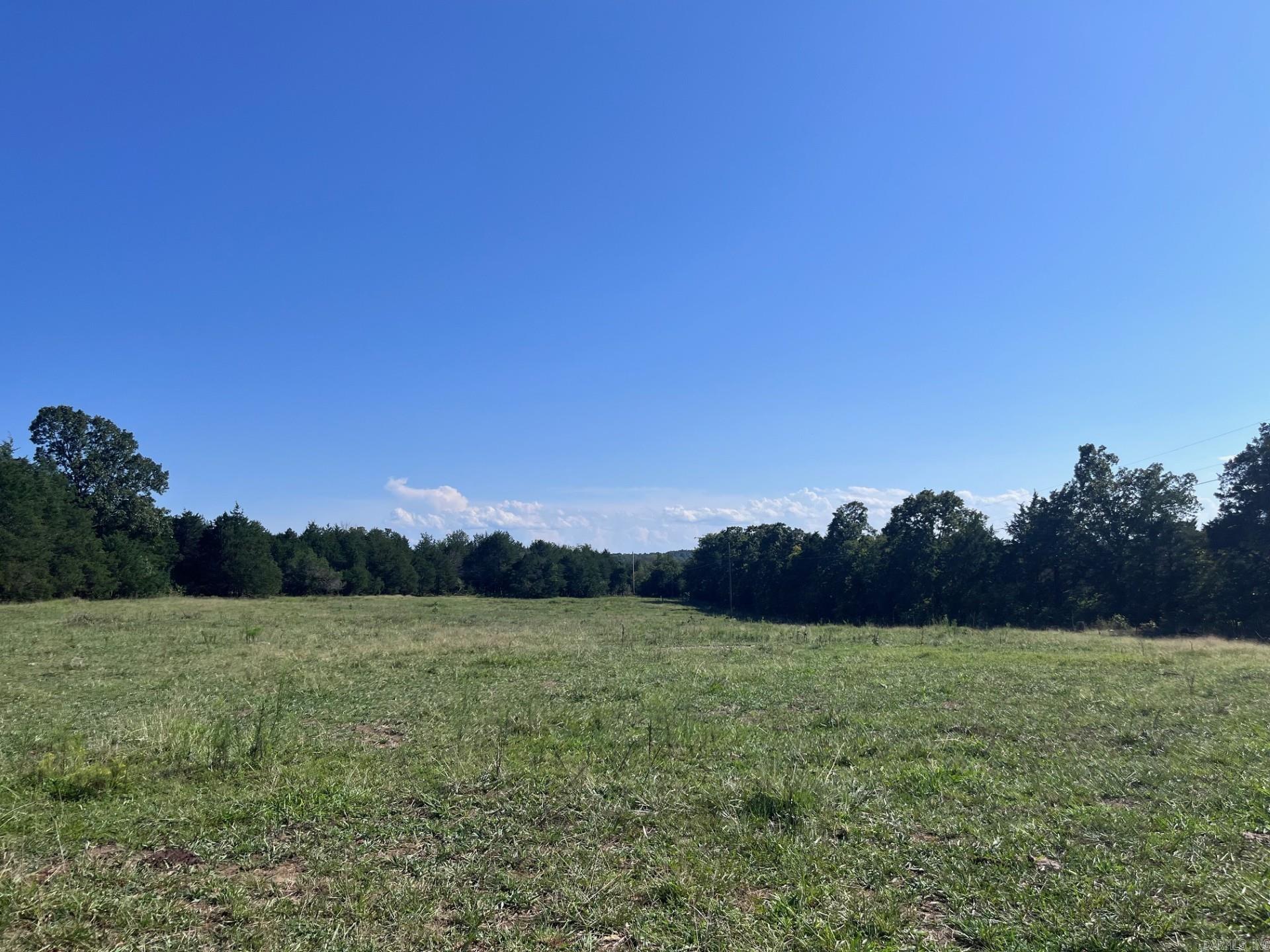 8447  Elizabeth  Viola, AR