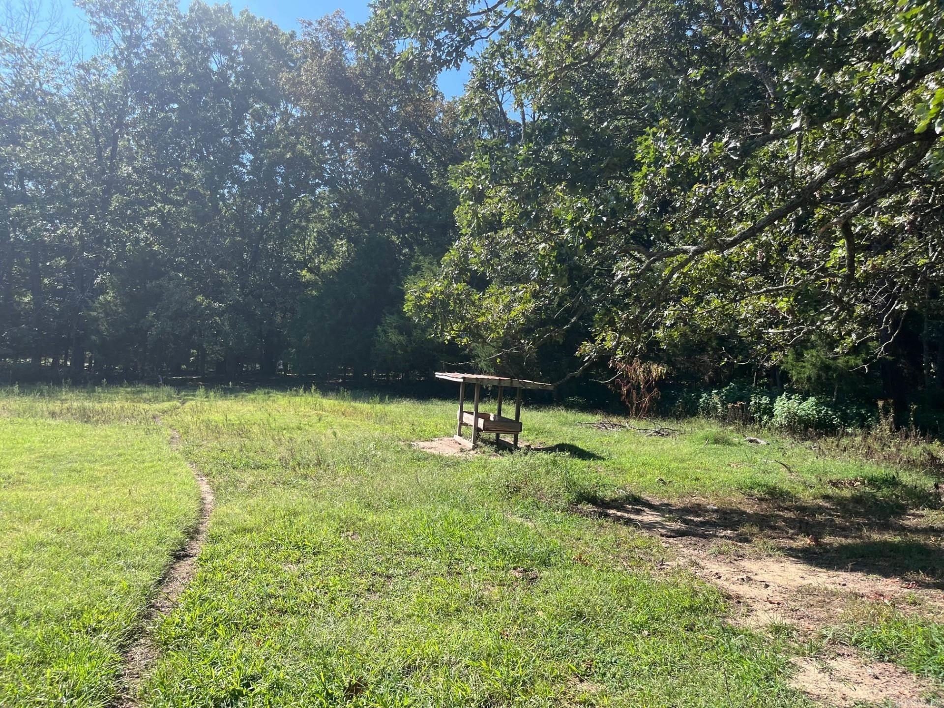 8447  Elizabeth  Viola, AR