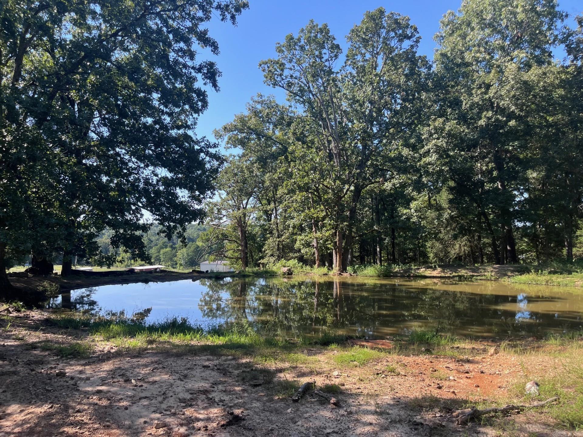 8447  Elizabeth  Viola, AR