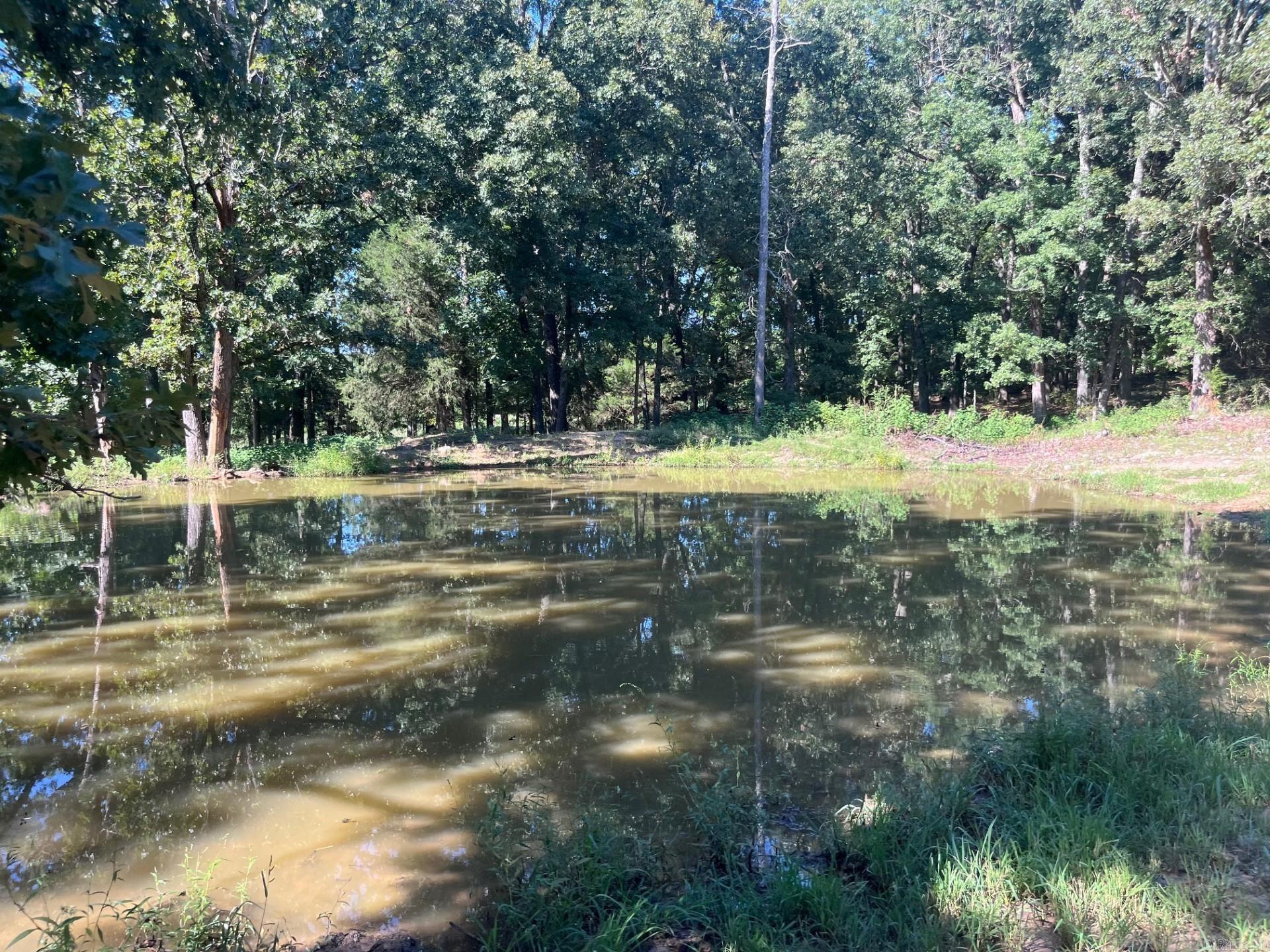 8447  Elizabeth  Viola, AR