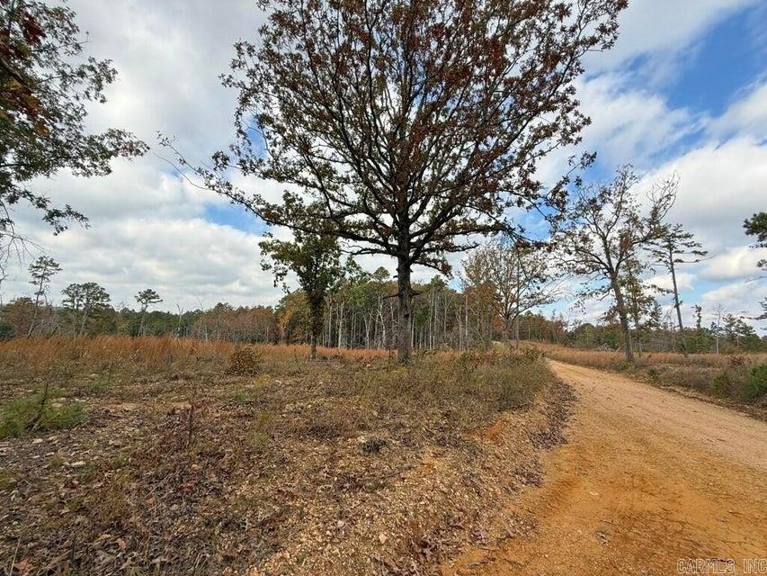 284 Stark Springs  Batesville, AR