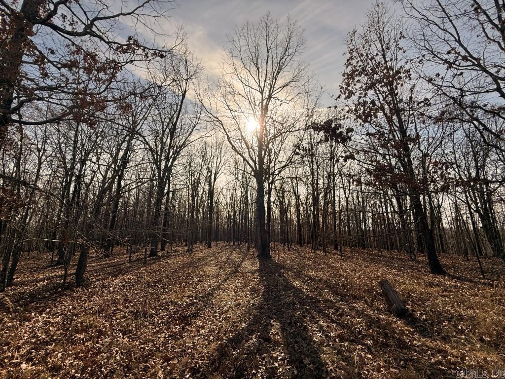 284 Stark Springs  Batesville, AR