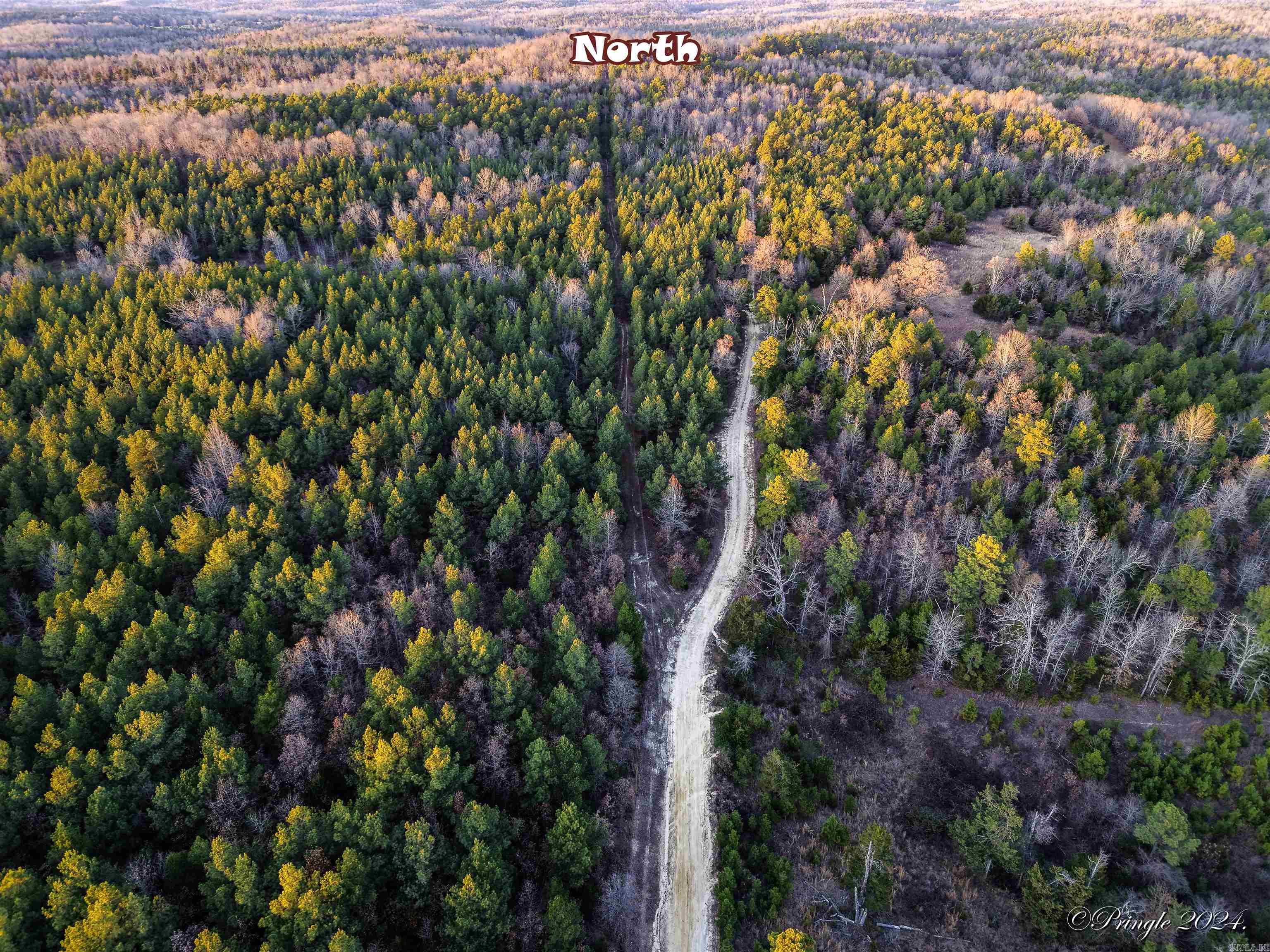 000  Highway 223 South  Bexar, AR