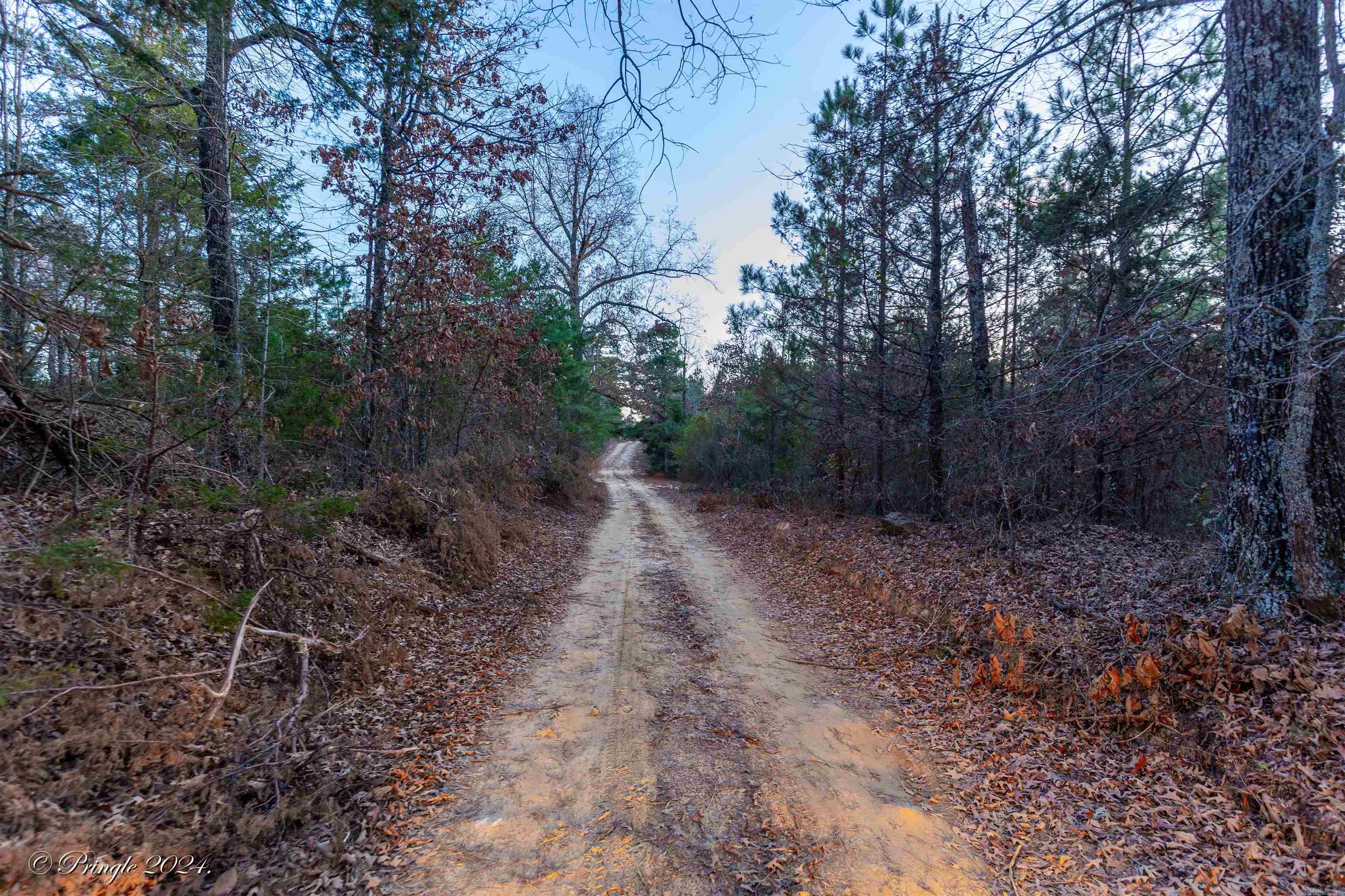 000  Highway 223 South  Bexar, AR