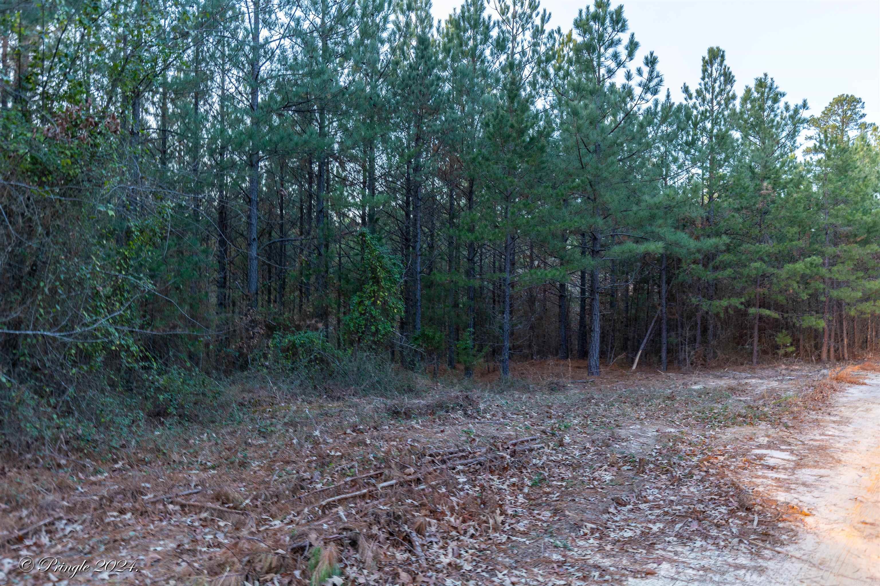 000  Highway 223 South  Bexar, AR