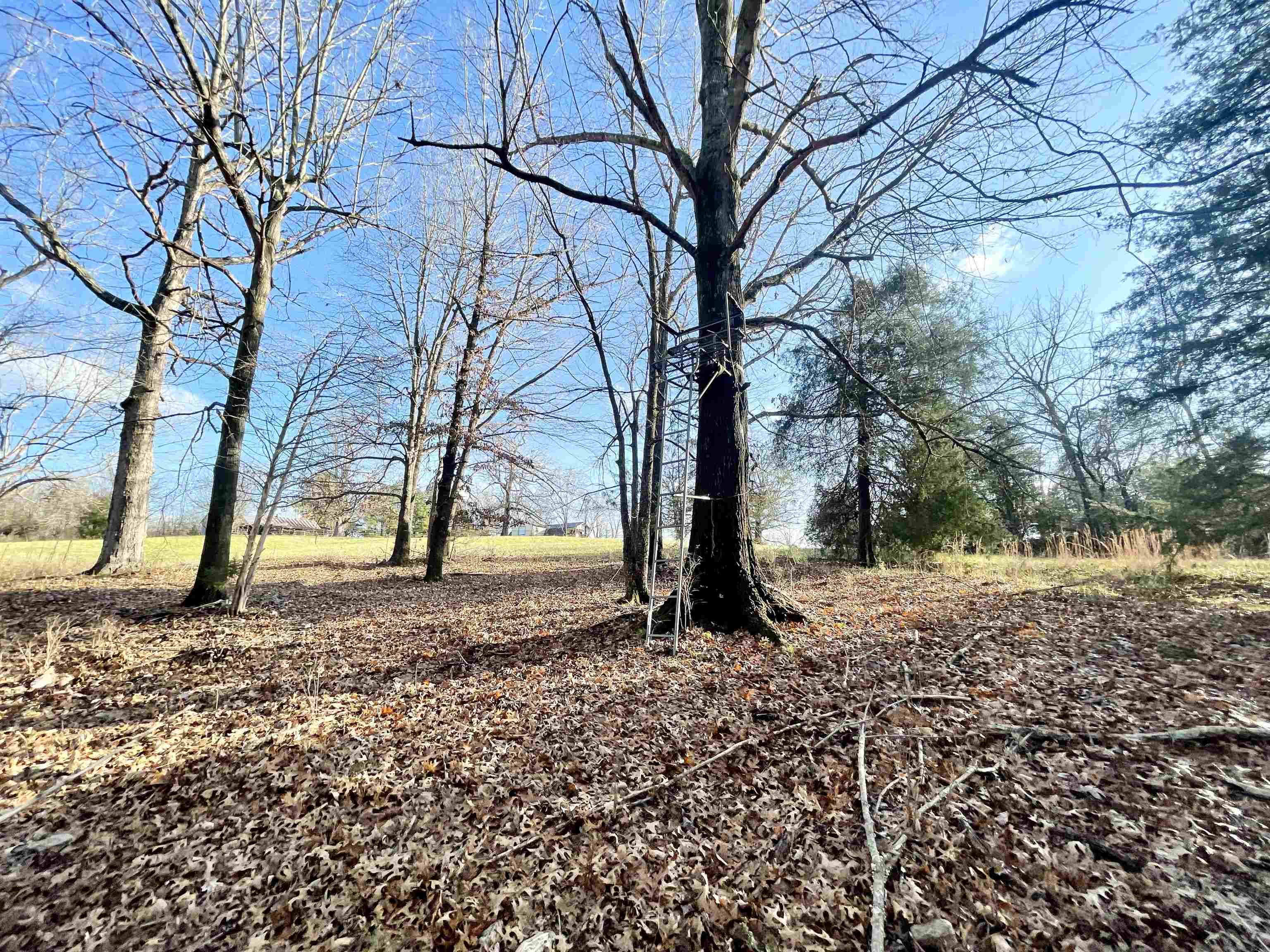 1494  9  Salem, AR