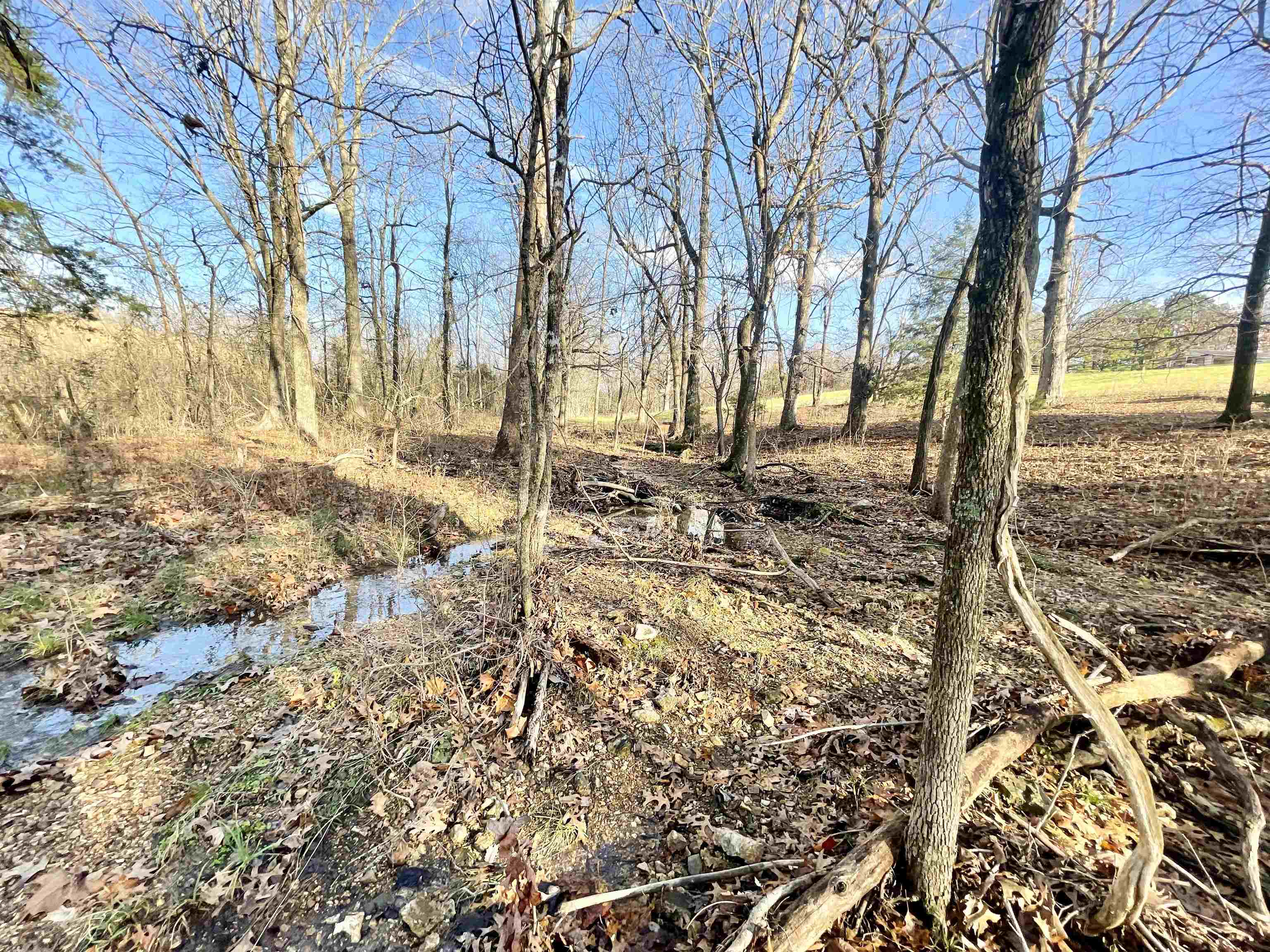 1494  9  Salem, AR