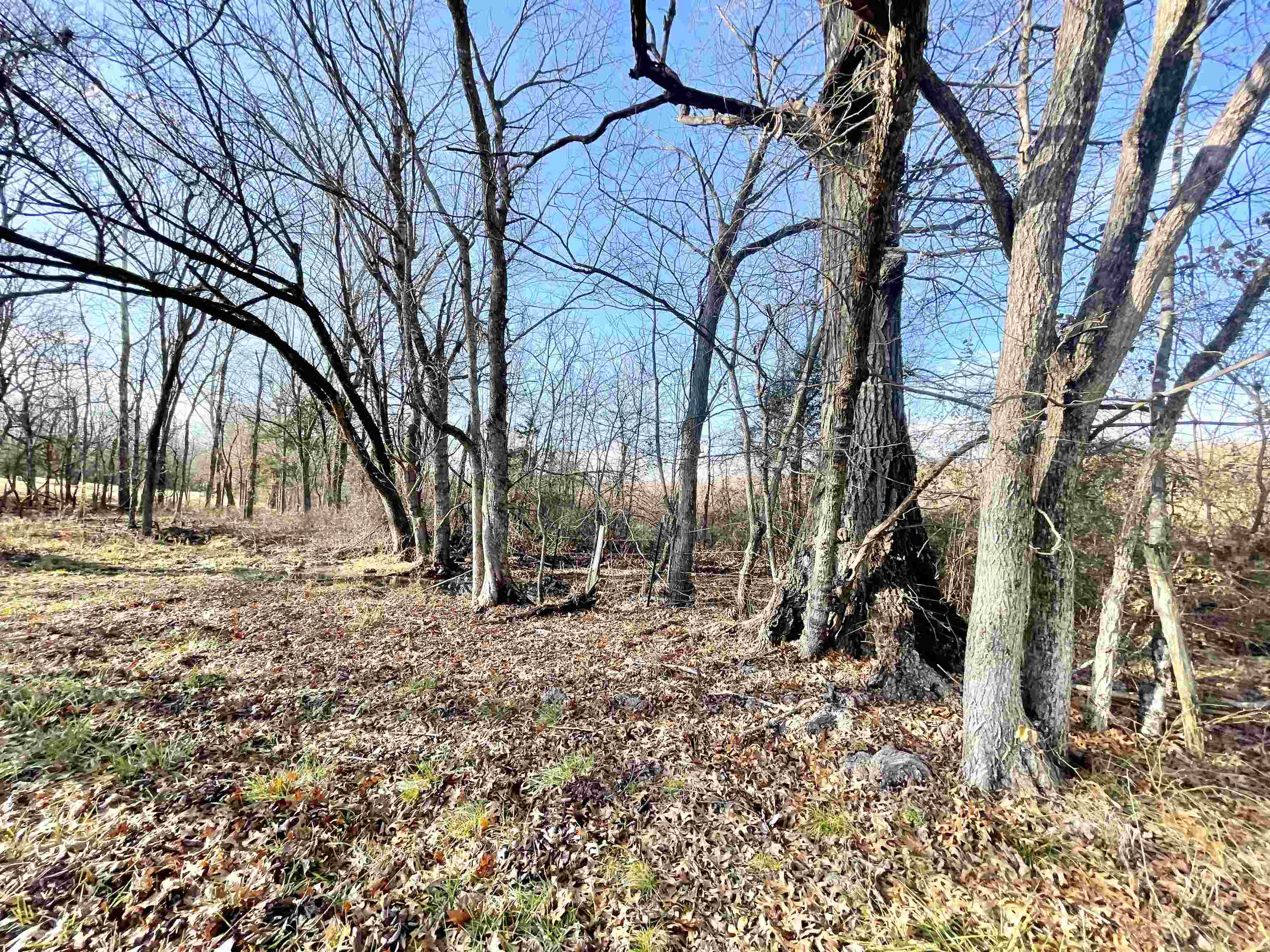 1494  9  Salem, AR