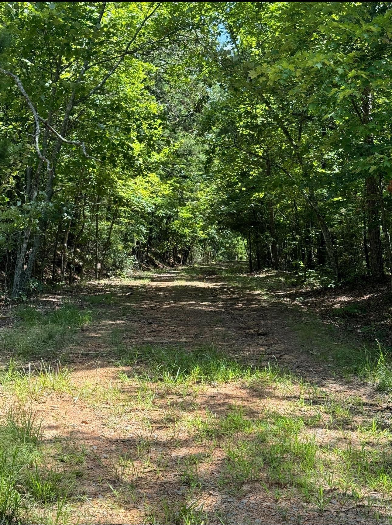 2475  Holly Mountain Rd  Clinton, AR