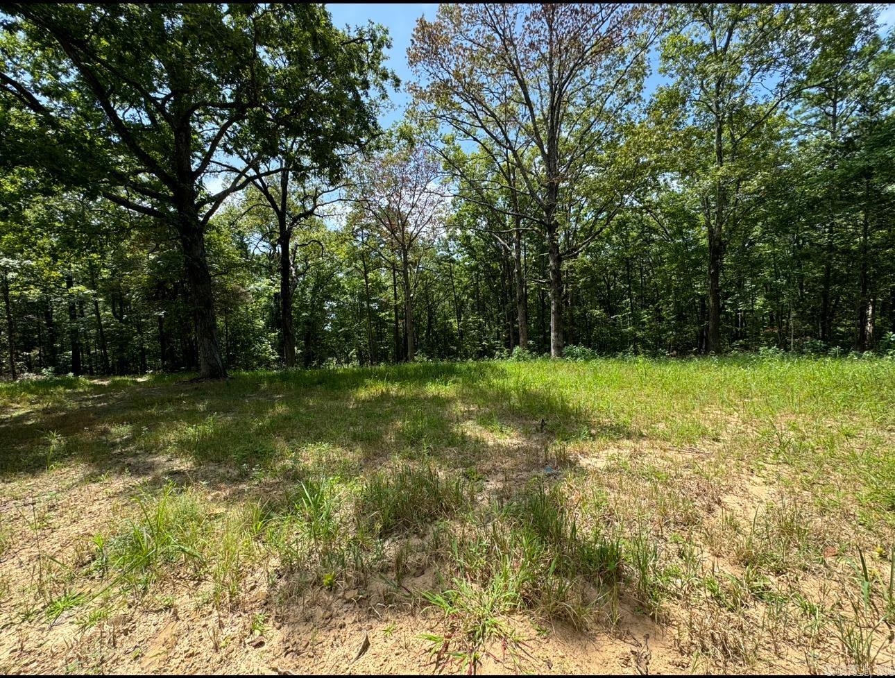 2475  Holly Mountain Rd  Clinton, AR