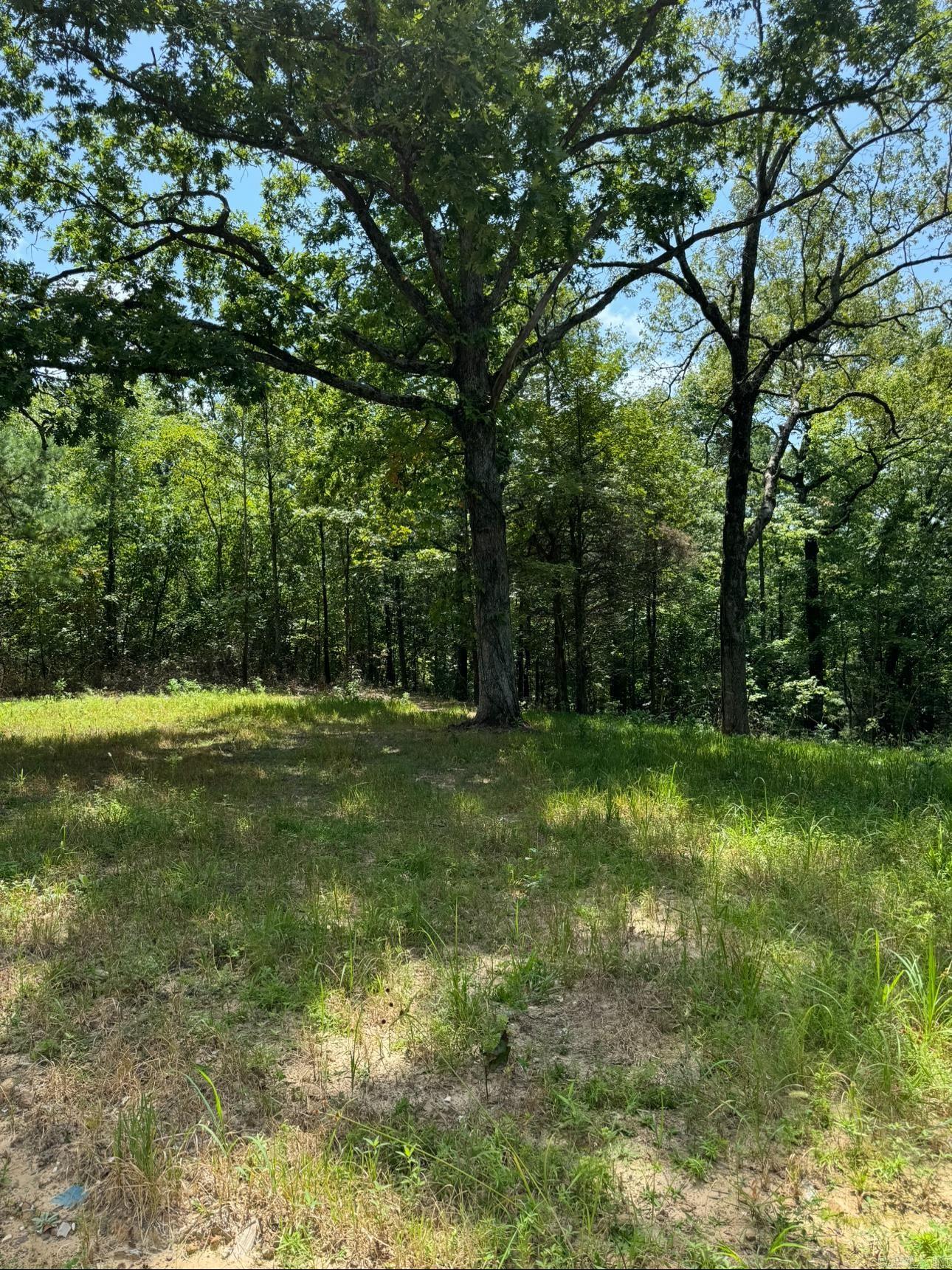 2475  Holly Mountain Rd  Clinton, AR
