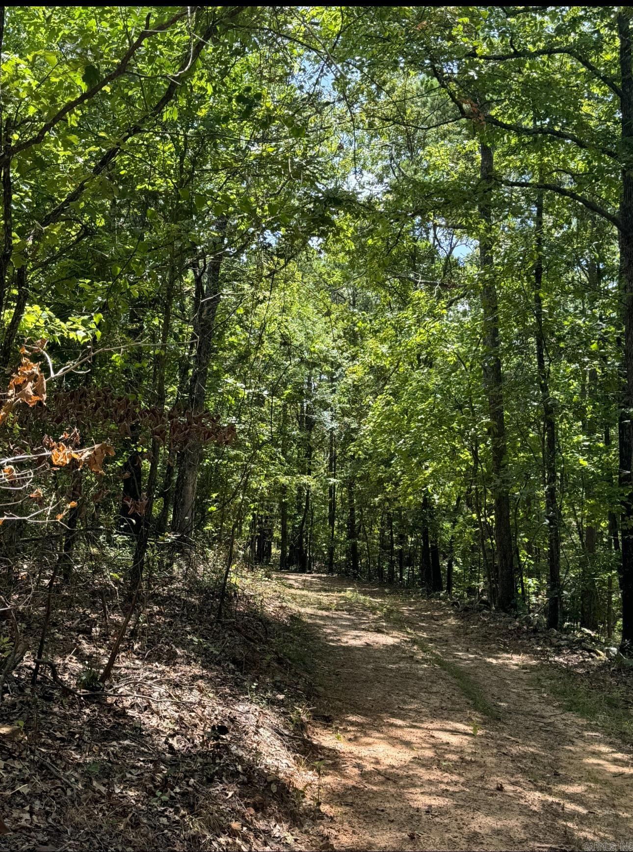 2475  Holly Mountain Rd  Clinton, AR