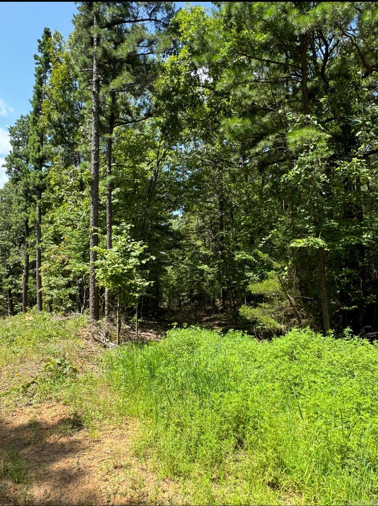 2475  Holly Mountain Rd  Clinton, AR