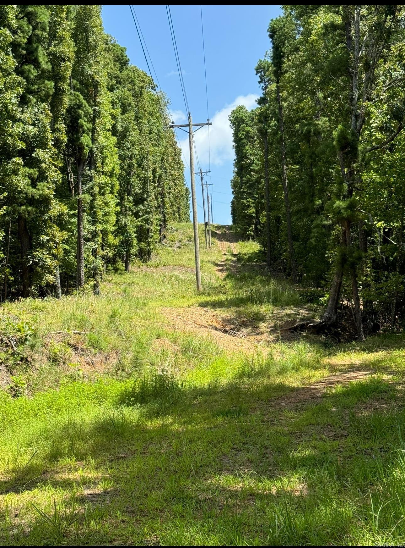 2475  Holly Mountain Rd  Clinton, AR