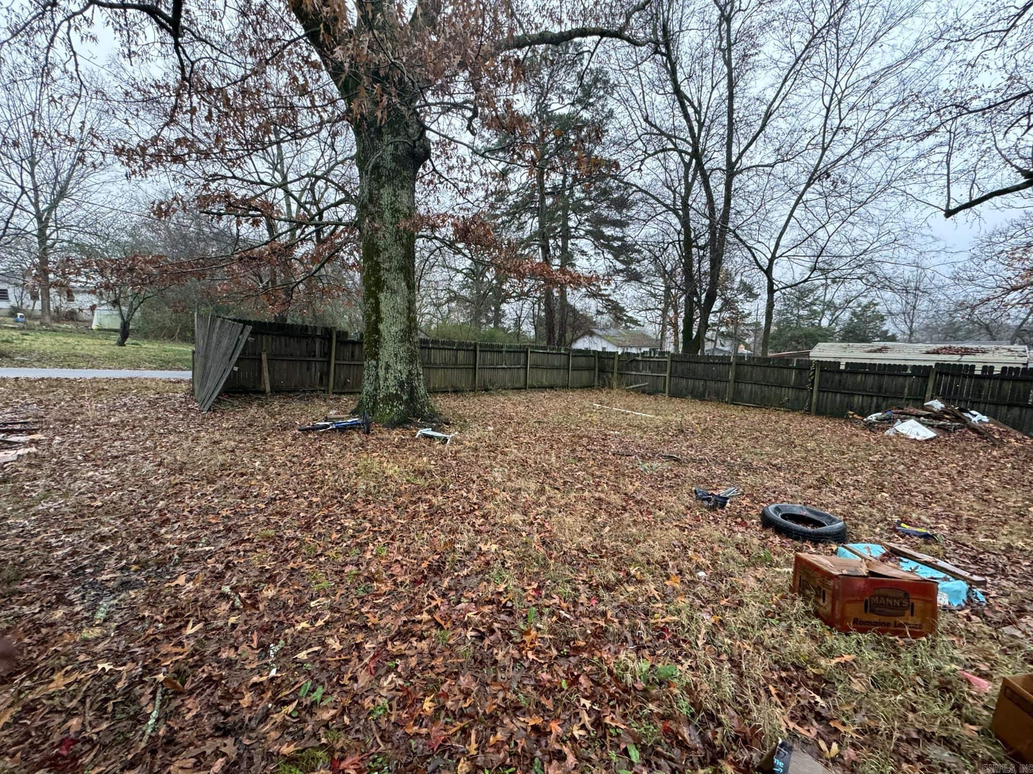 1011  Ninth Street  Mena, AR
