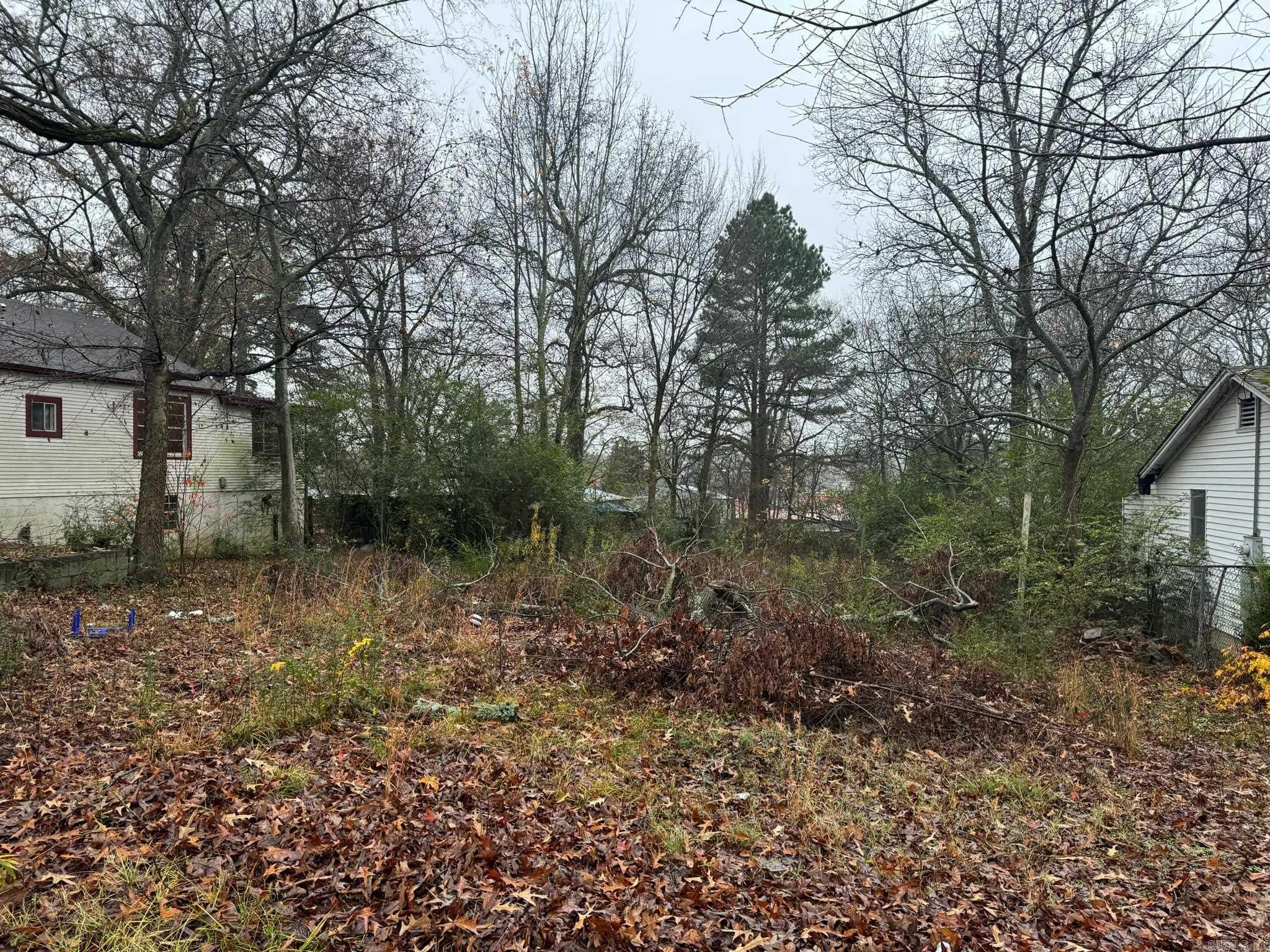 1011  Ninth Street  Mena, AR