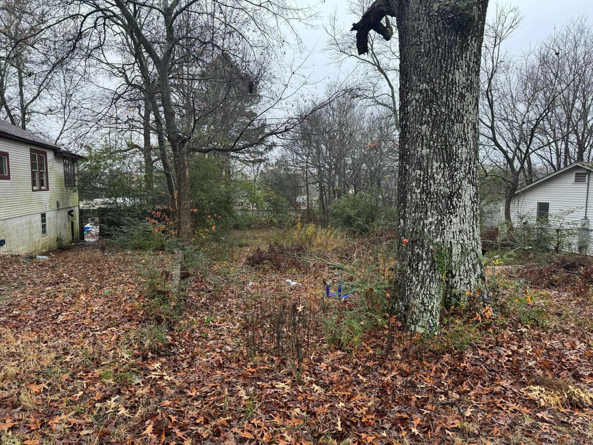1011  Ninth Street  Mena, AR