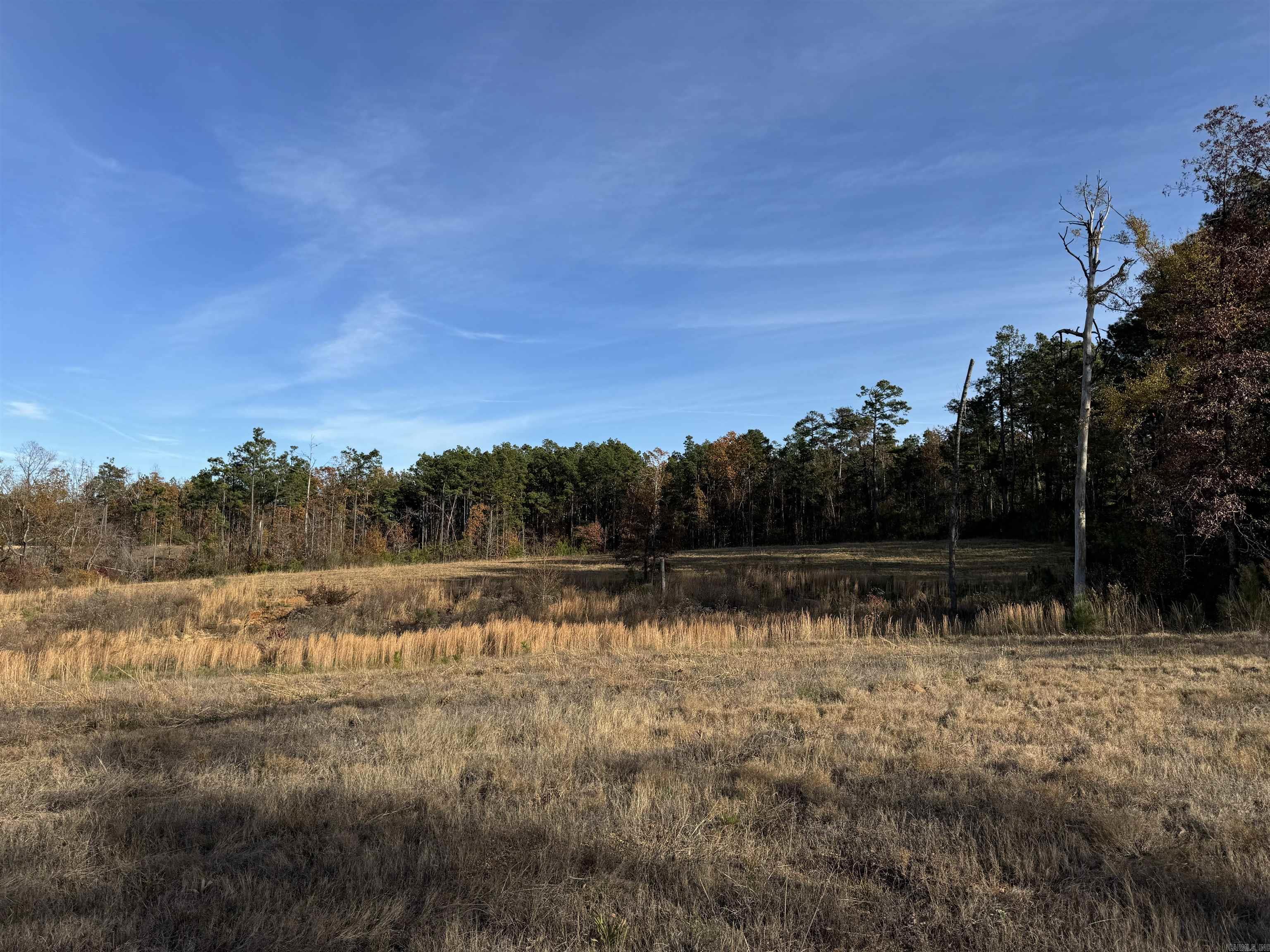 Highlands lot 4  Hwy 425  Monticello, AR