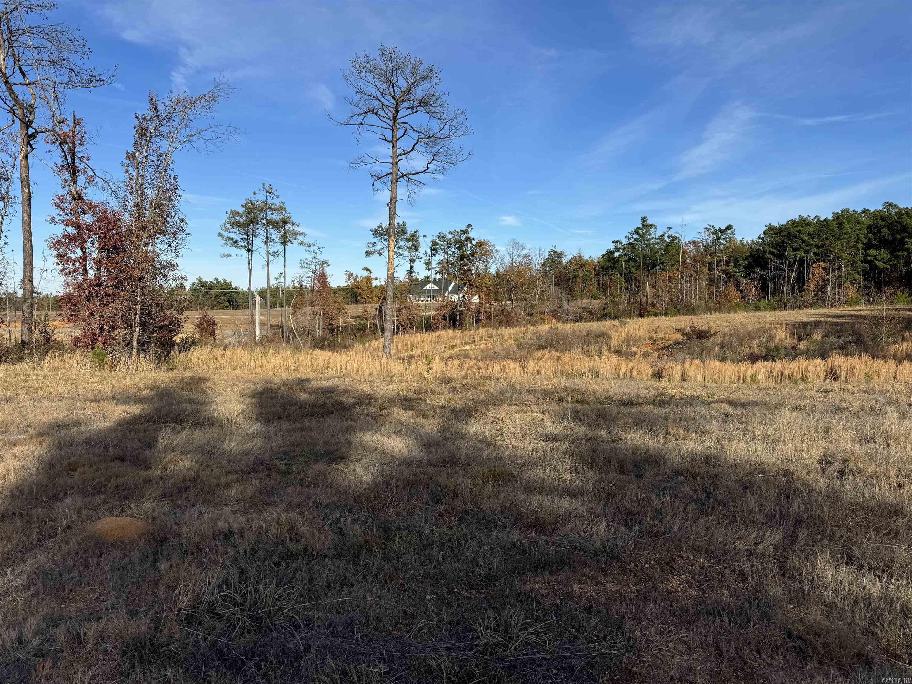 Highlands lot 4  Hwy 425  Monticello, AR