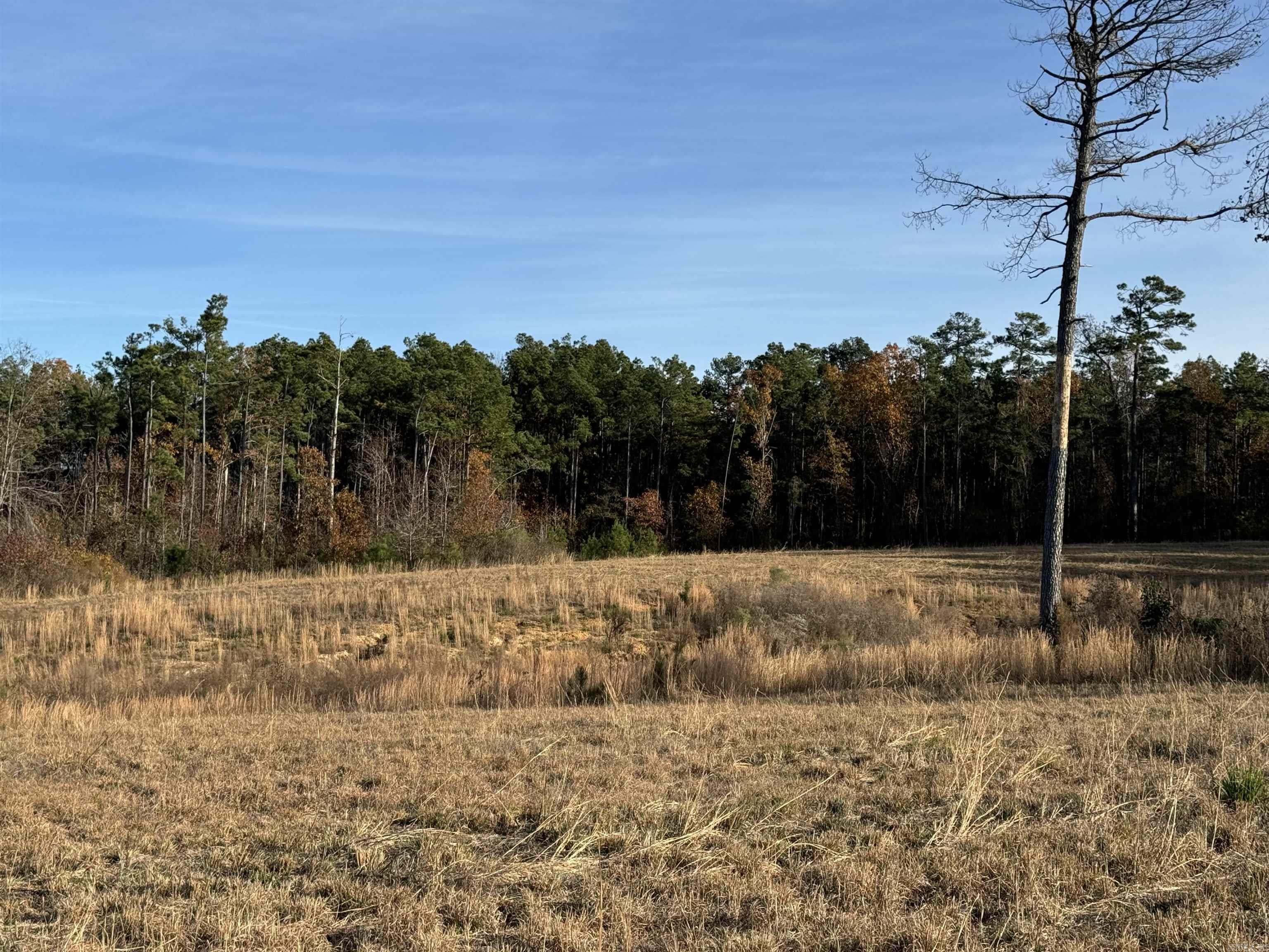 Highlands lot 4  Hwy 425  Monticello, AR