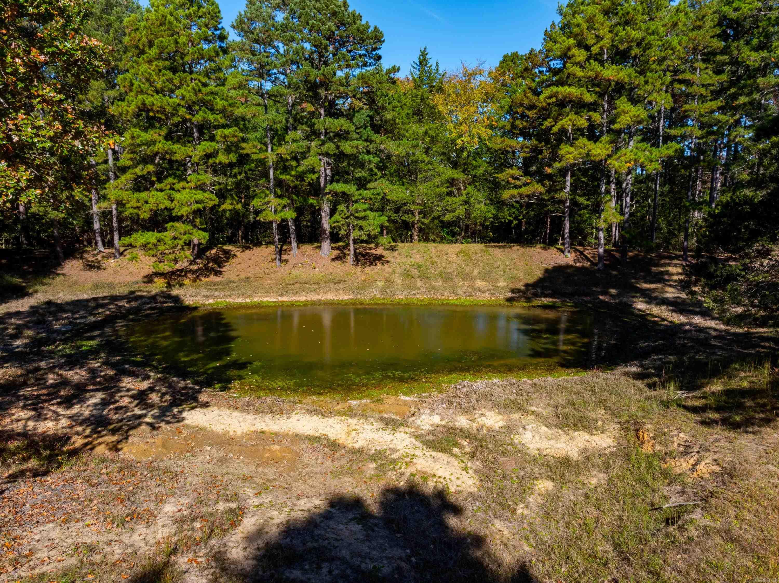 34  Sorrell Rd  Cave City, AR
