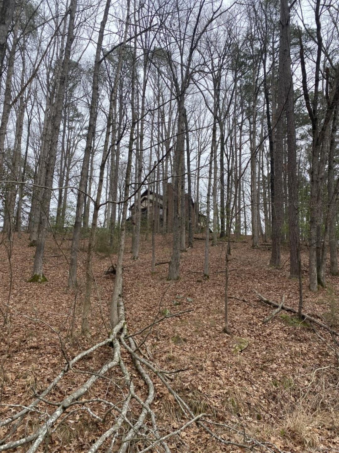 2450 Laticana Camden, AR 71701