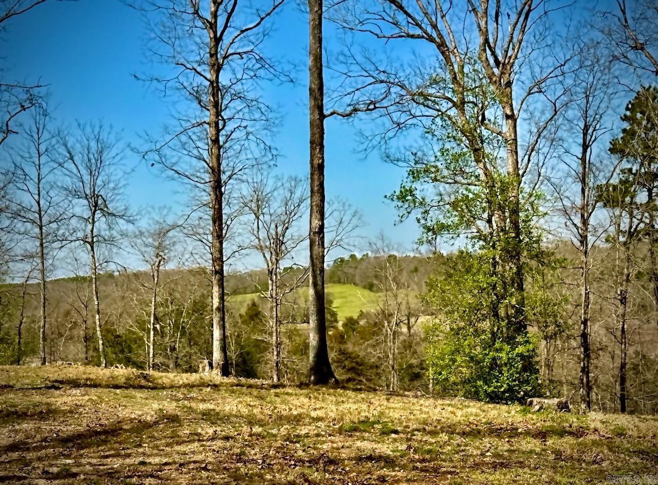 165 Mirage Lane Hatfield, AR 71945