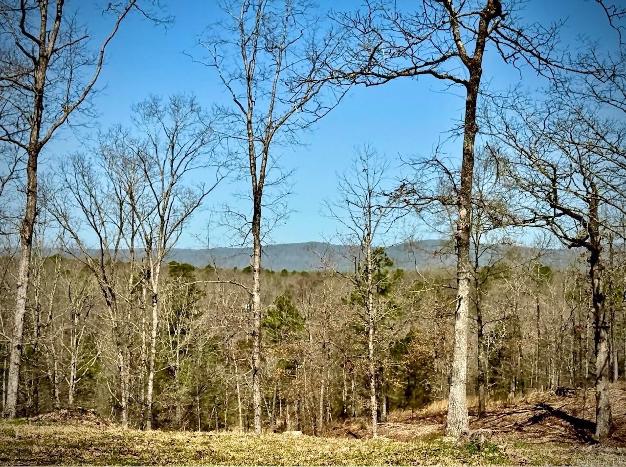 165 Mirage Lane Hatfield, AR 71945