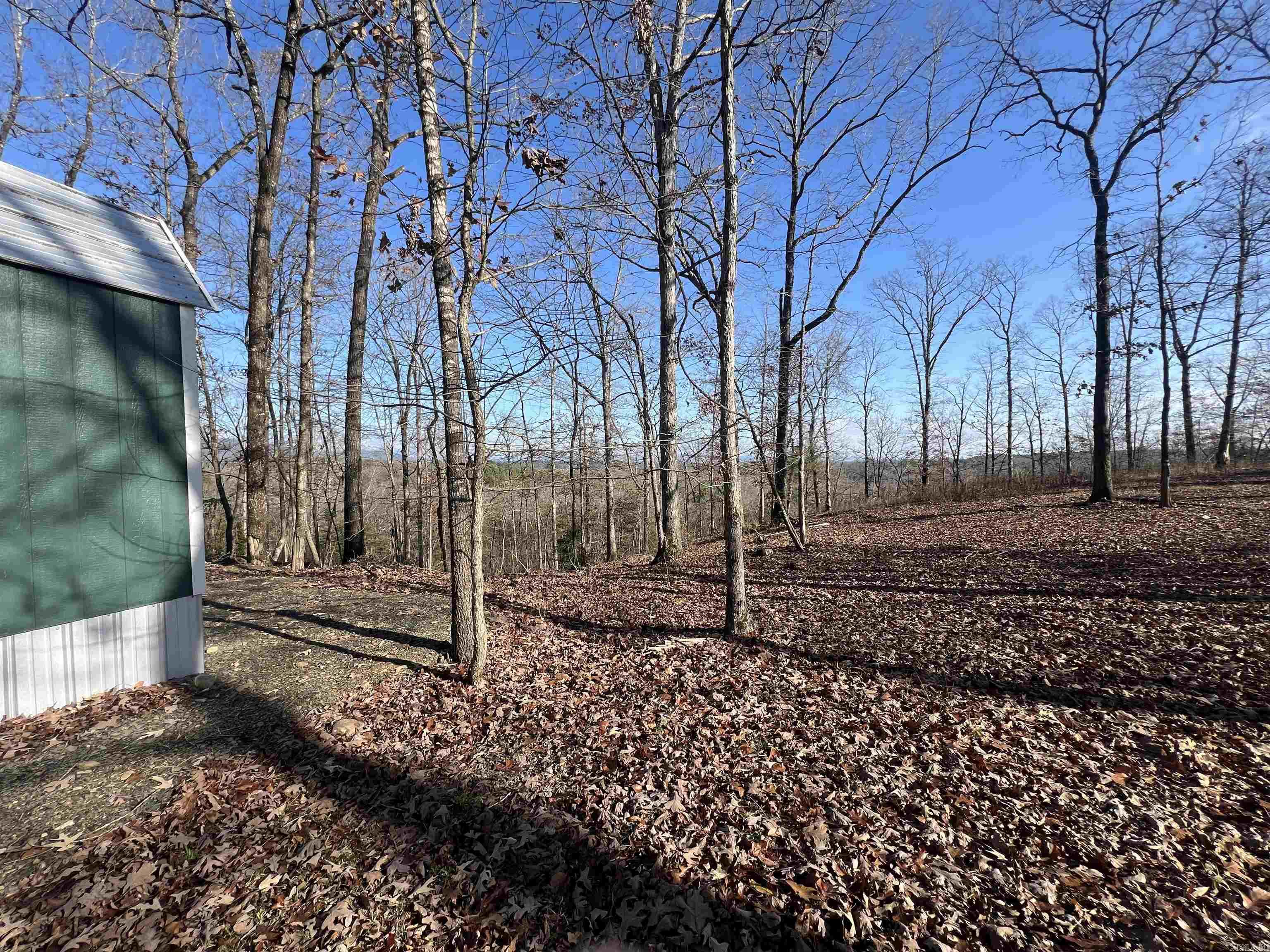 165 Mirage Lane Hatfield, AR 71945