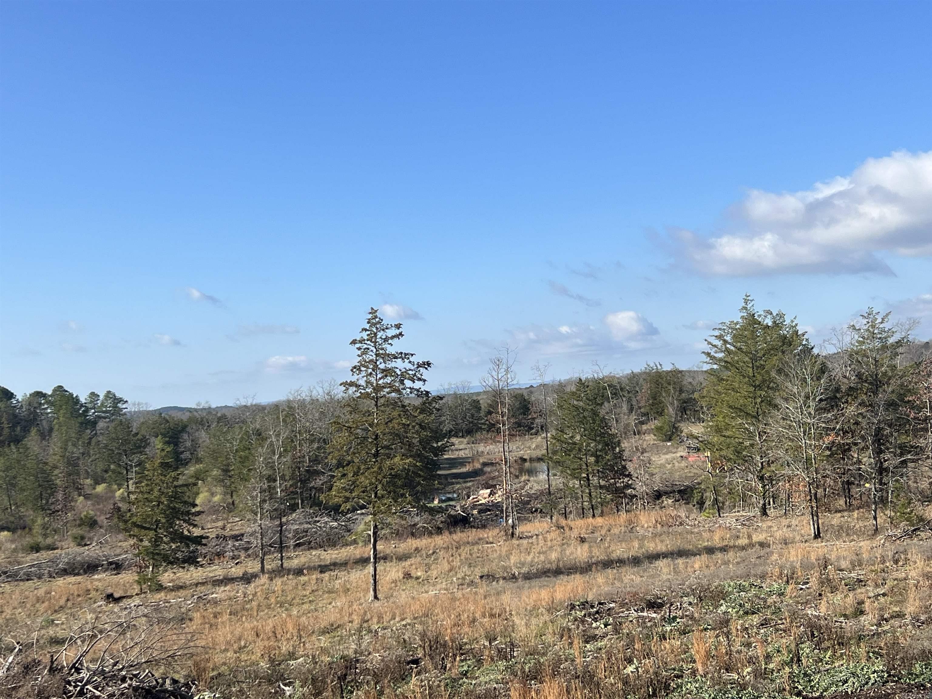 165 Mirage Lane Hatfield, AR 71945